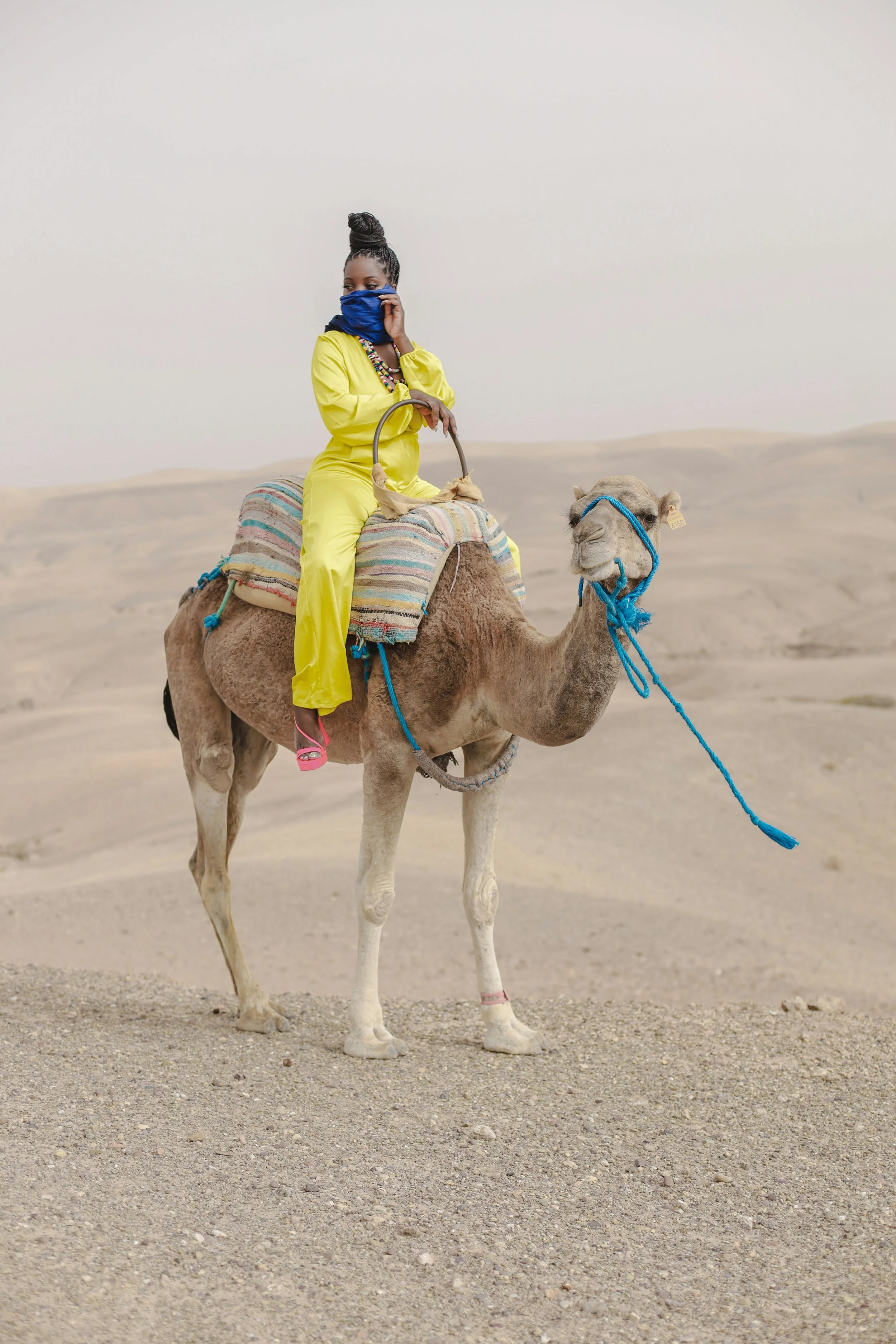 Your Morocco Travel Playbook