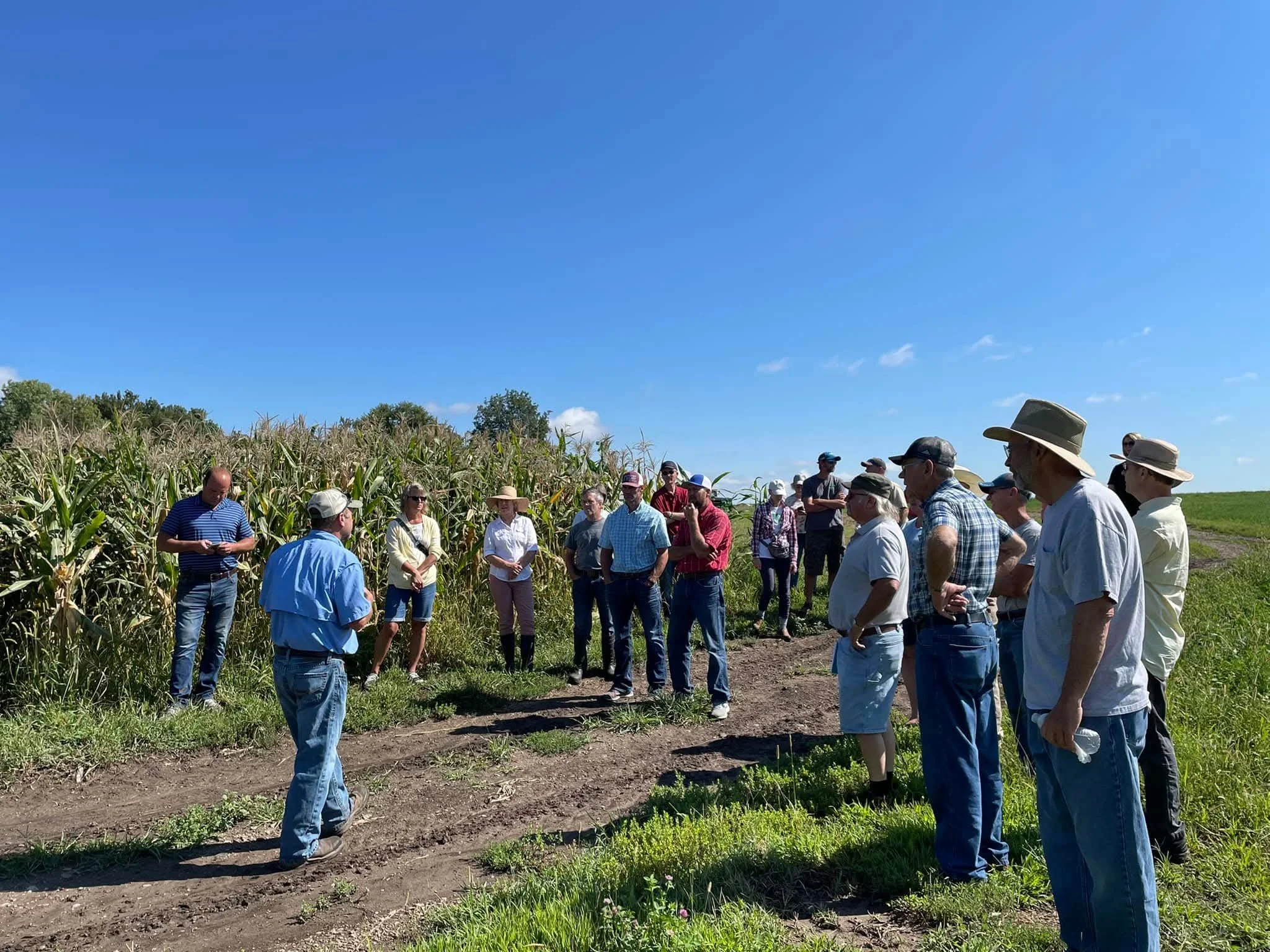 A group of people standing outdoors on a sunny day, listening to a man in a blue shirt and hat speaking, with a cornfield in the background.