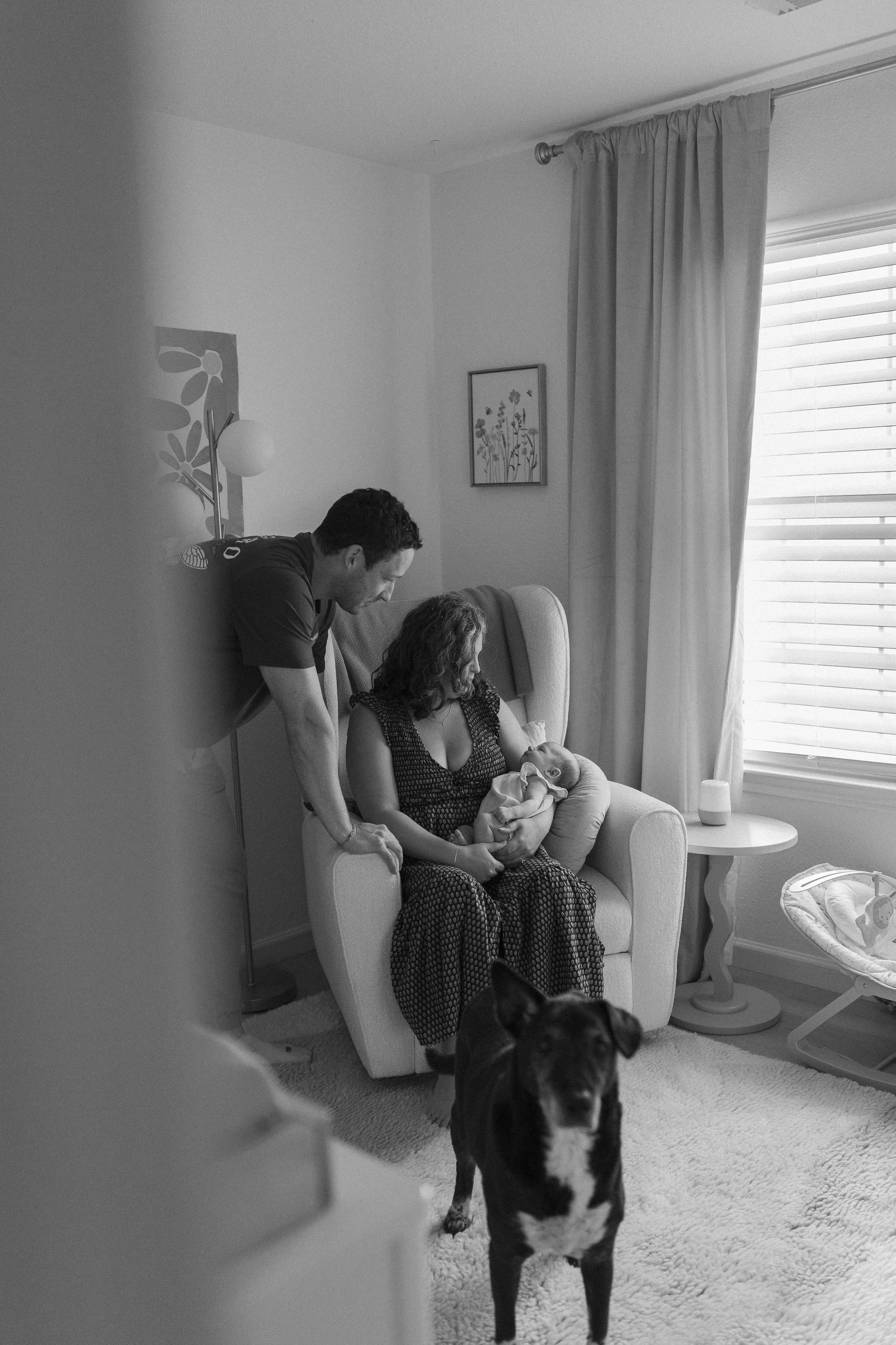 newborn lifestyle, mom, dad, baby girl, dog, fur baby, black and white photo, in home newborn session, family