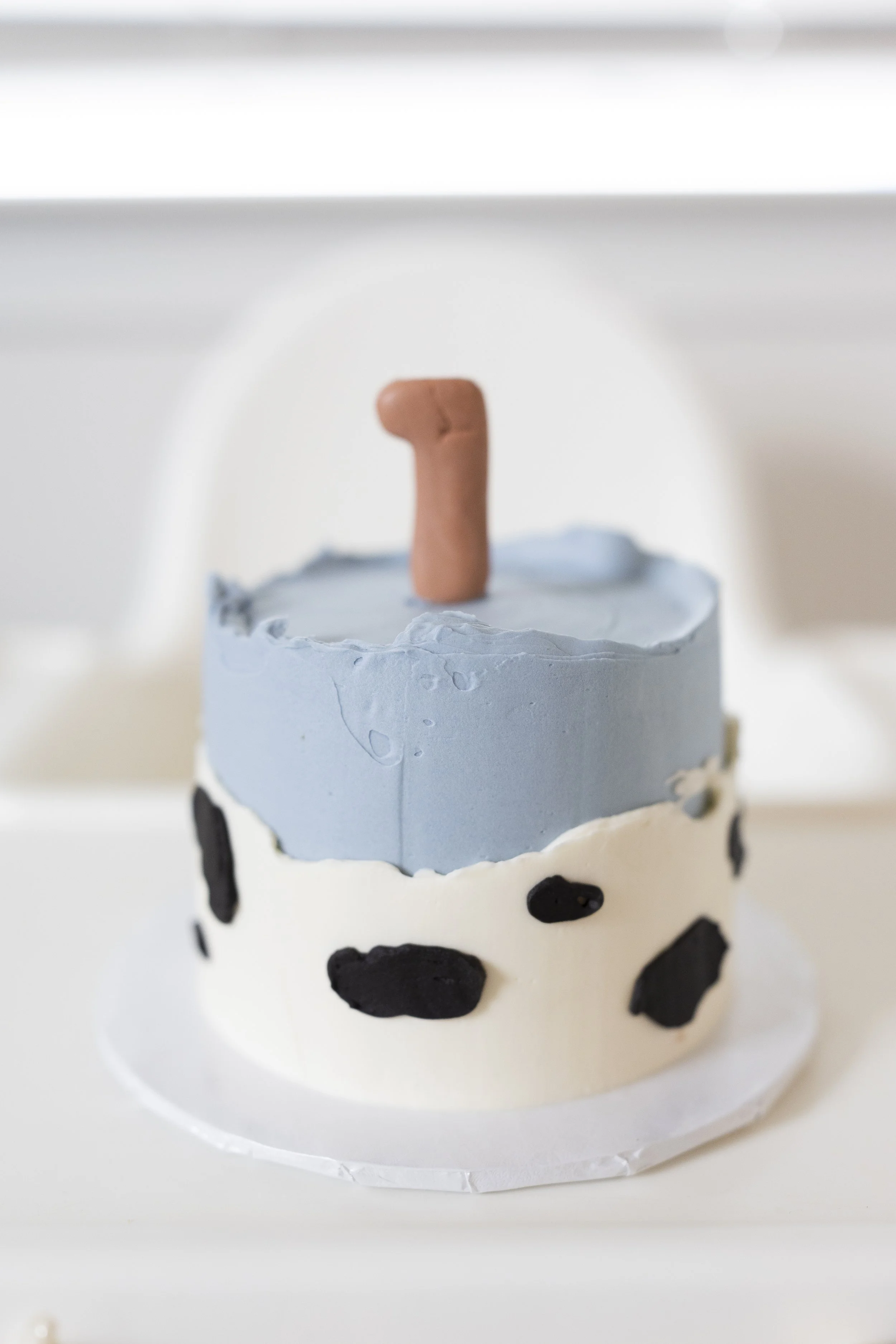 milestone, 1 year, boy, baby, smash cake