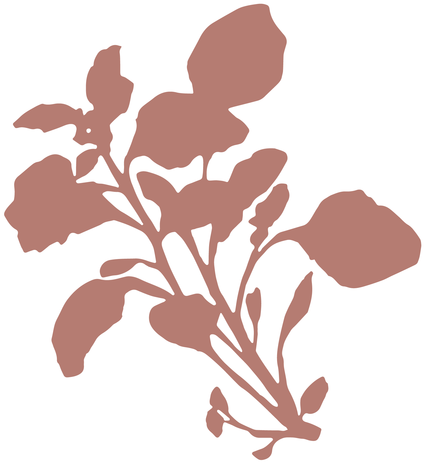 Silhouette of a flower with multiple petals and leaves, in a light brown color on a black background.