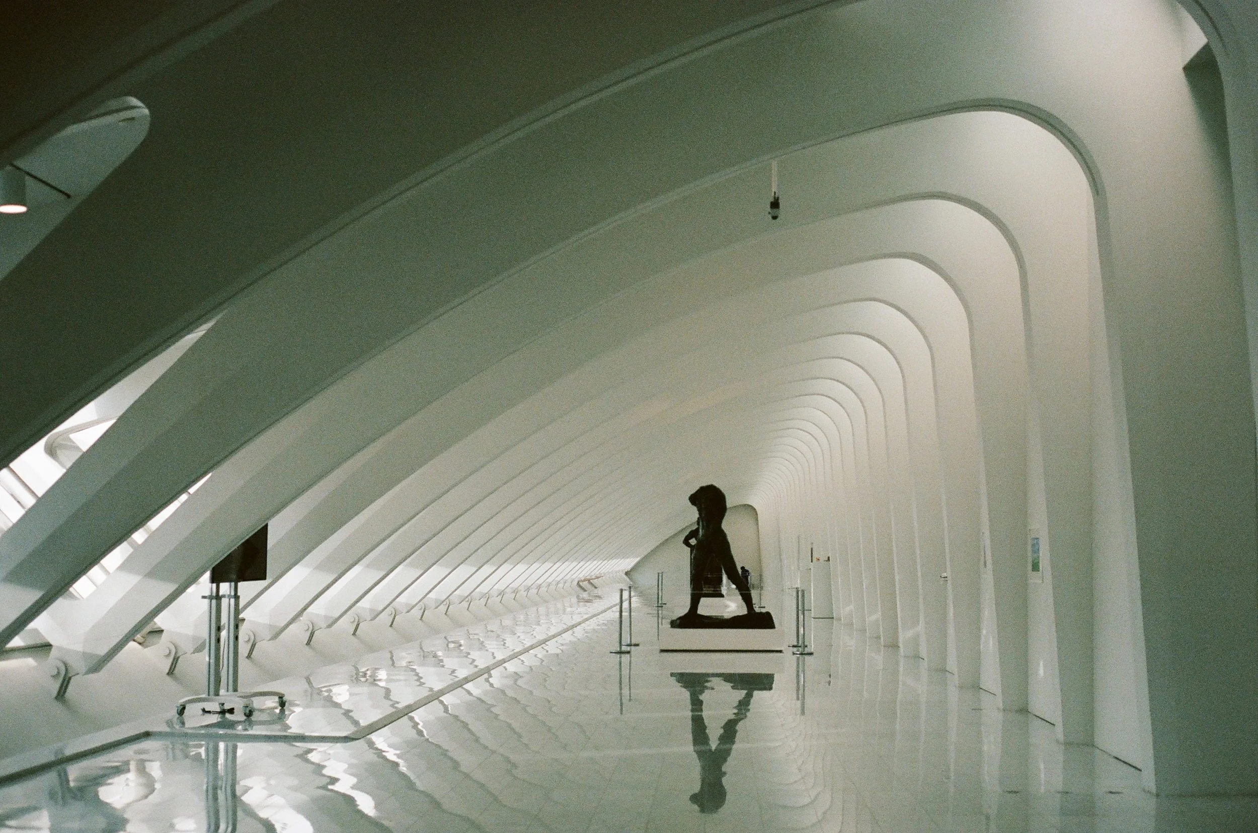 Art Hallway