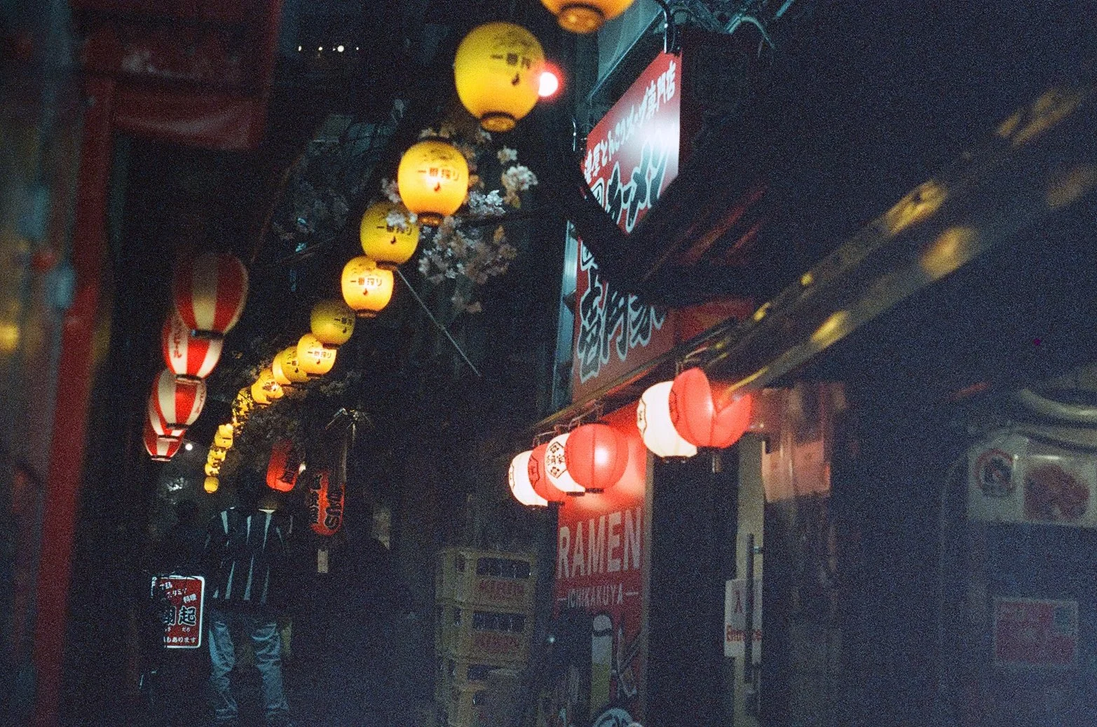 Omoide Yokocho Night