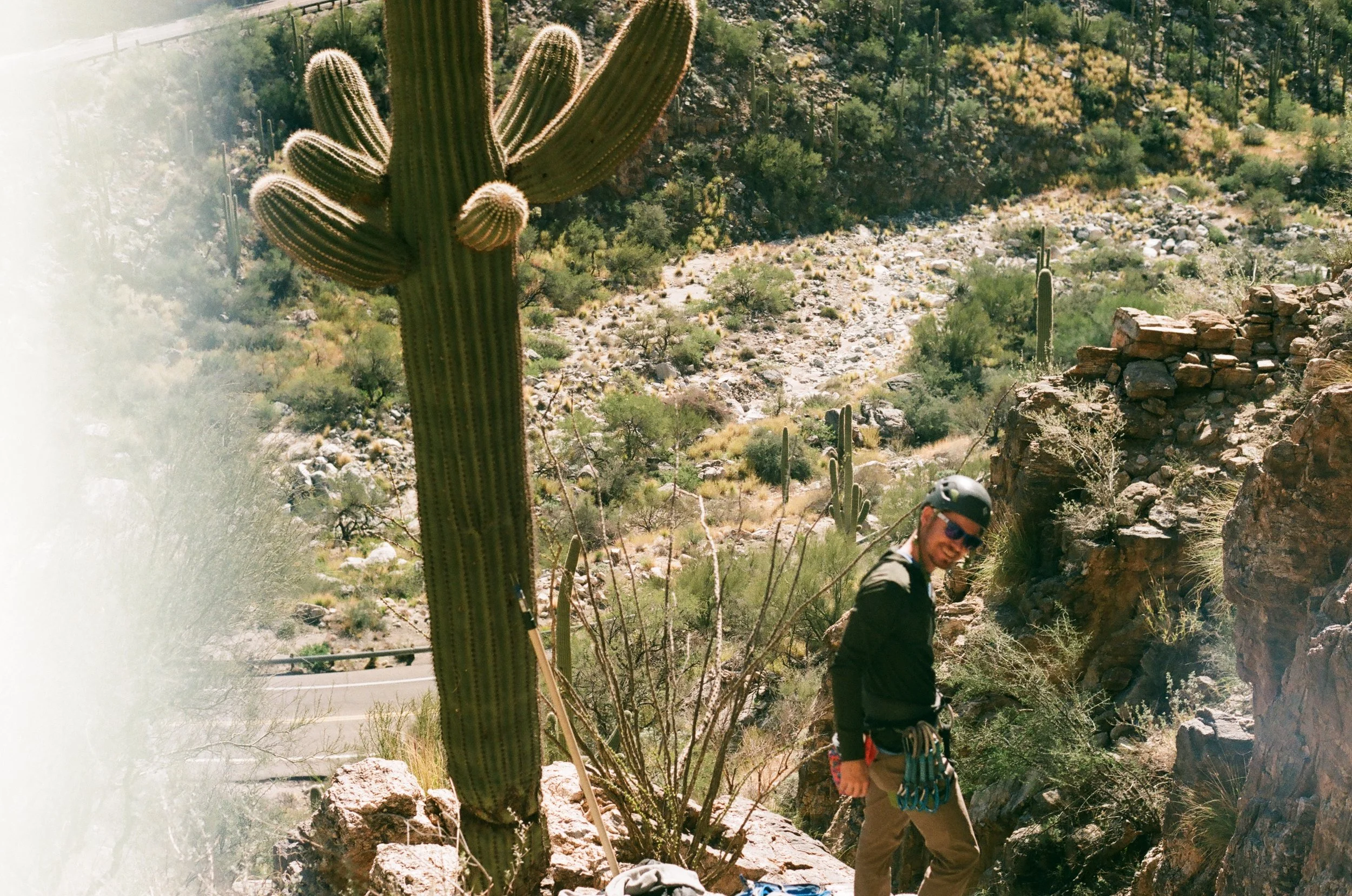 Titas & Cactus