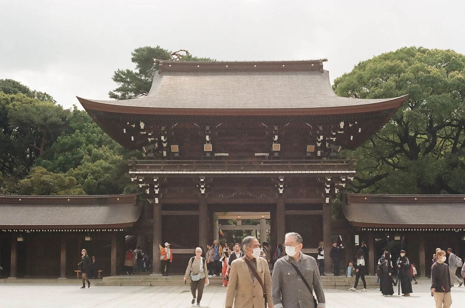 Meiji Shrine