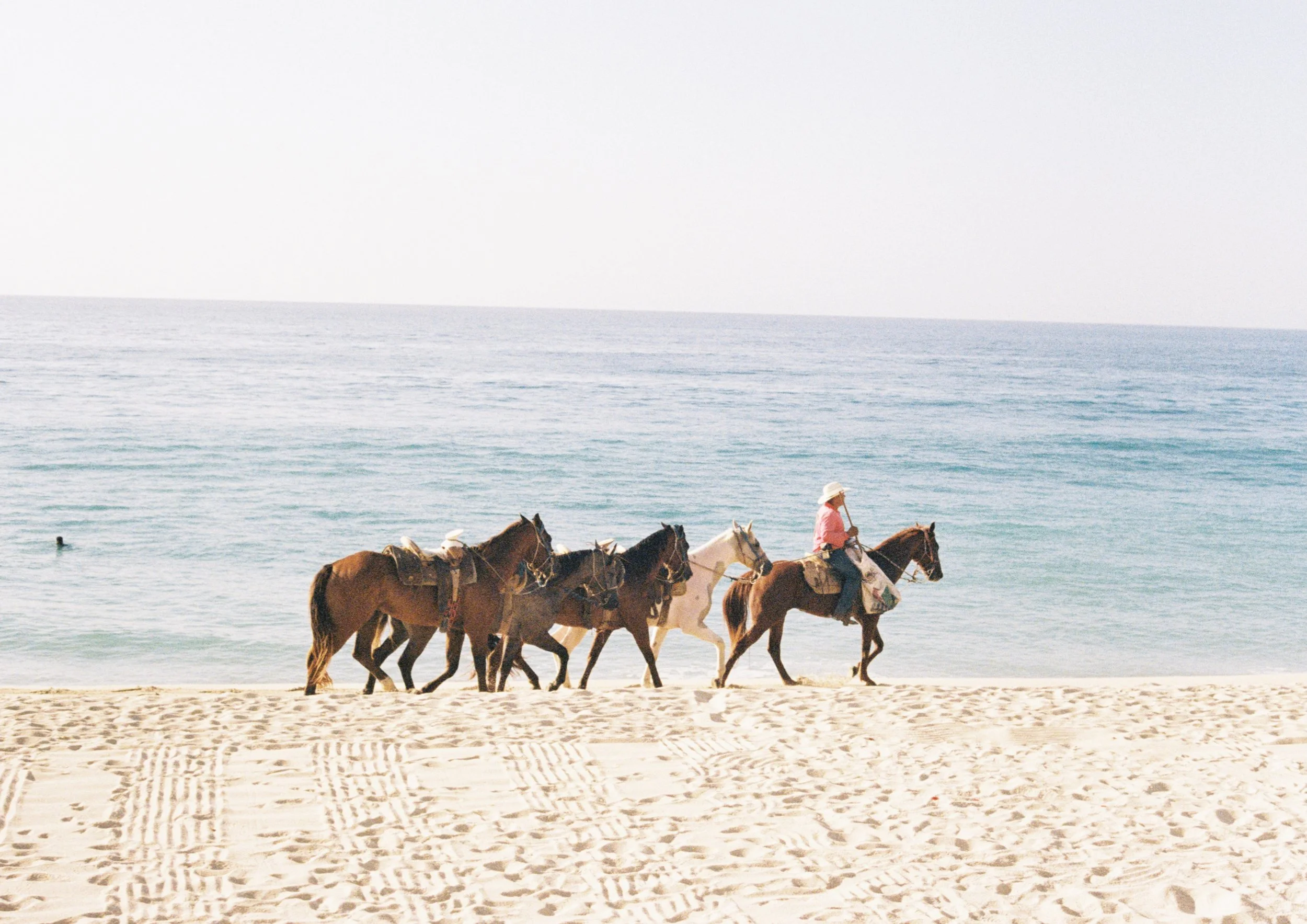 Horses on Beach