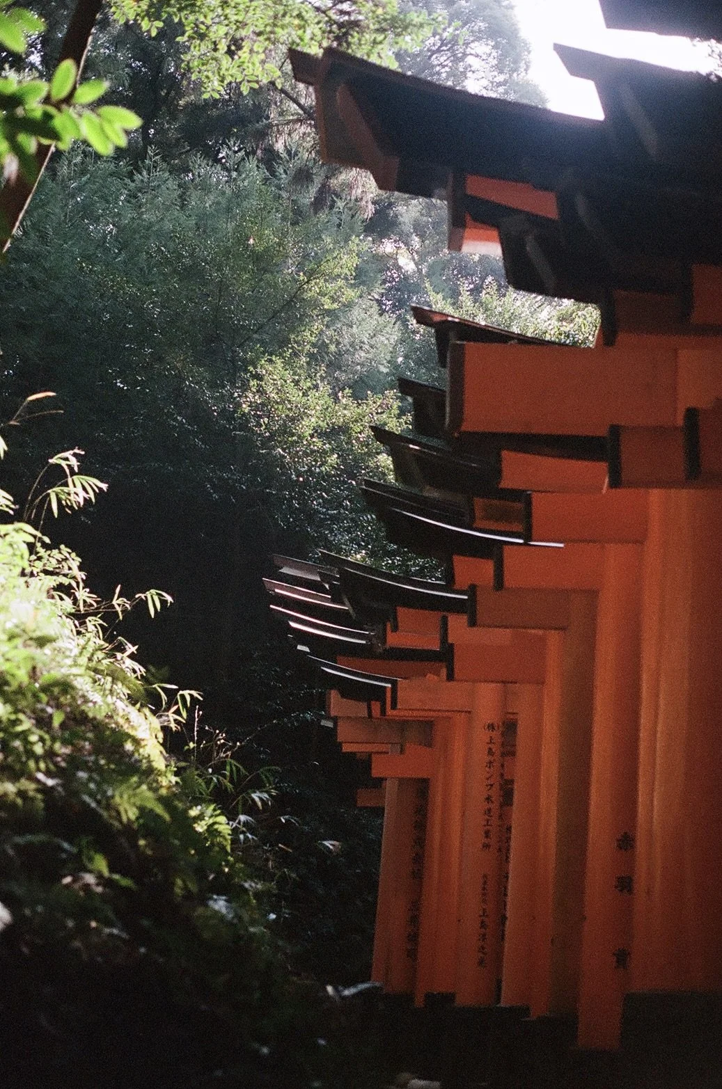 Kyoto Artsy