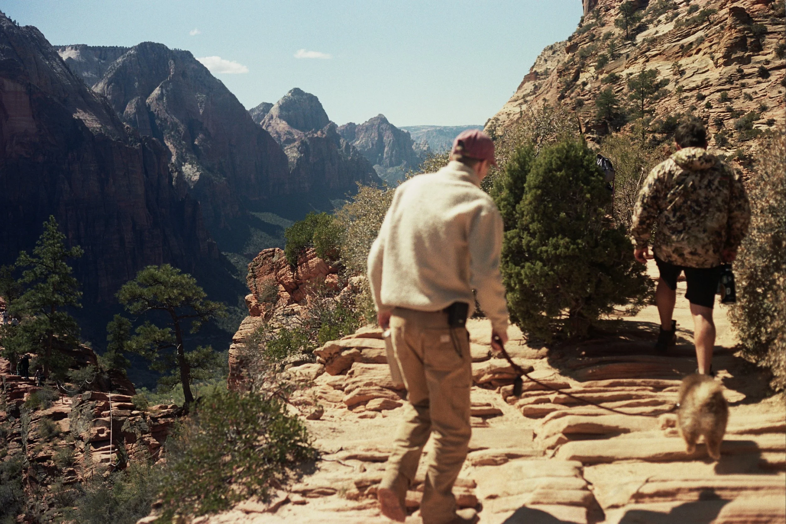 Dog on Angel's Landing