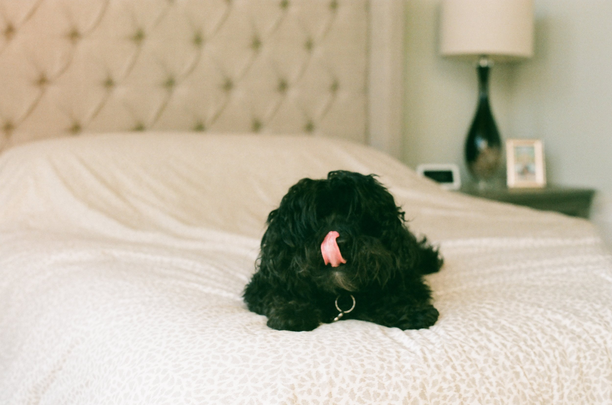 Kendrick on the Bed