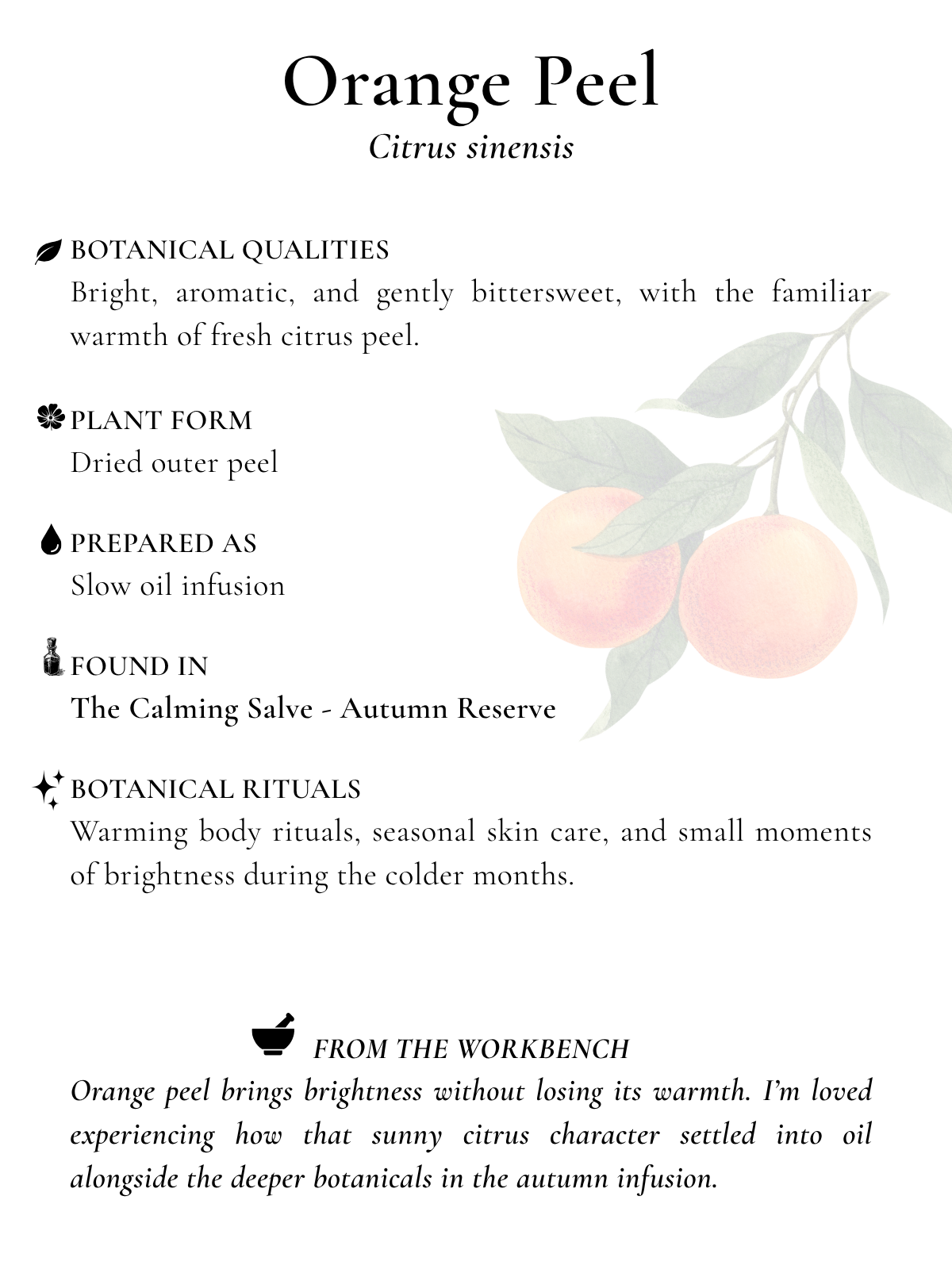 orange peel botanical index card.png