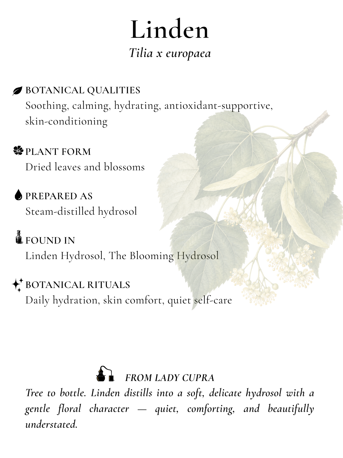 Botanical Index Cards (1600 x 1200 px) (1).png