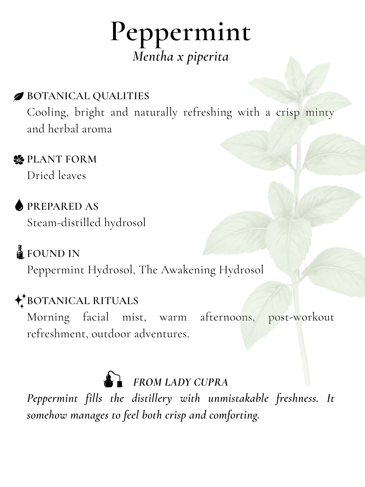 peppermint.png