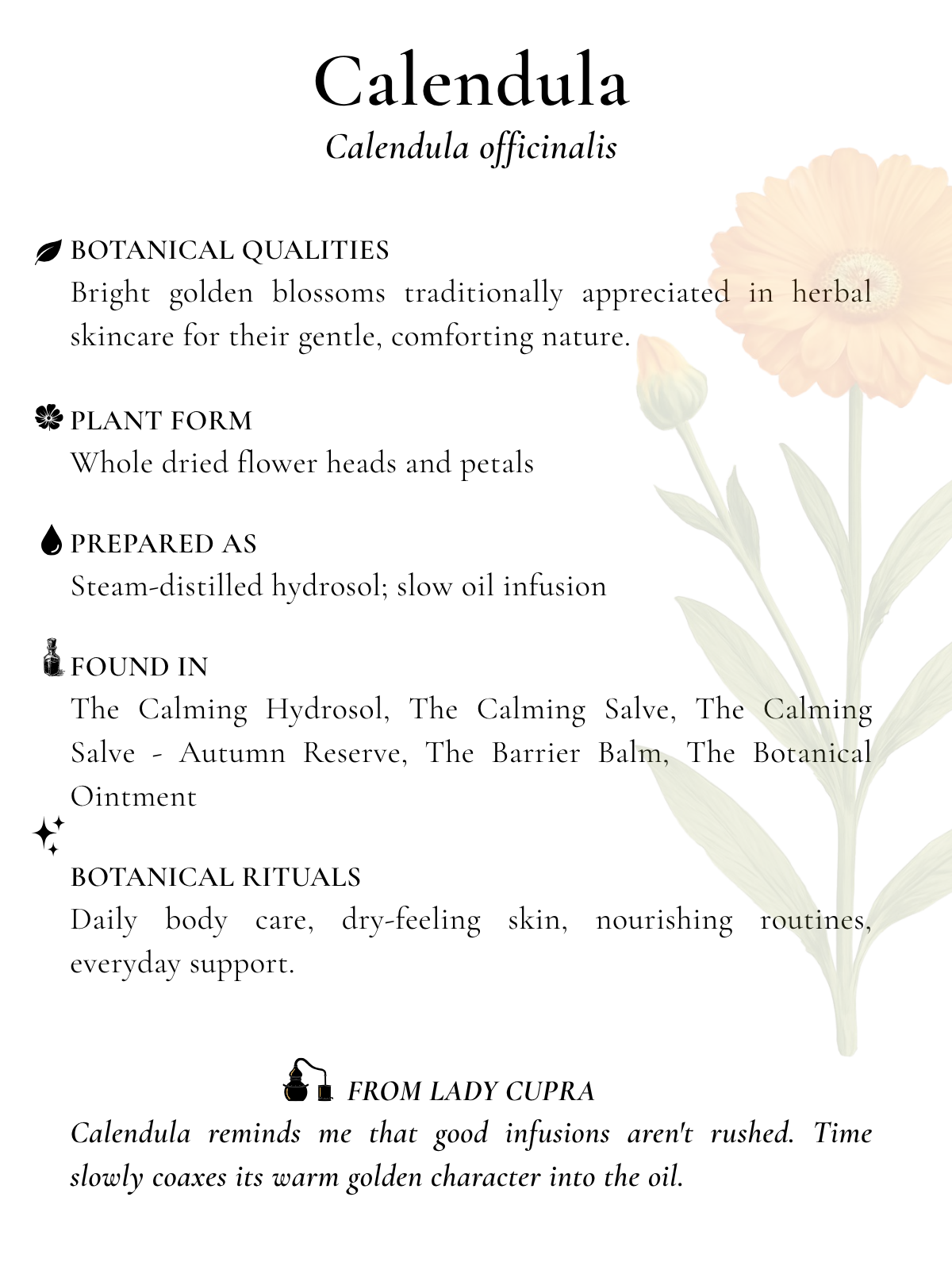 Calendula botanical index card.png