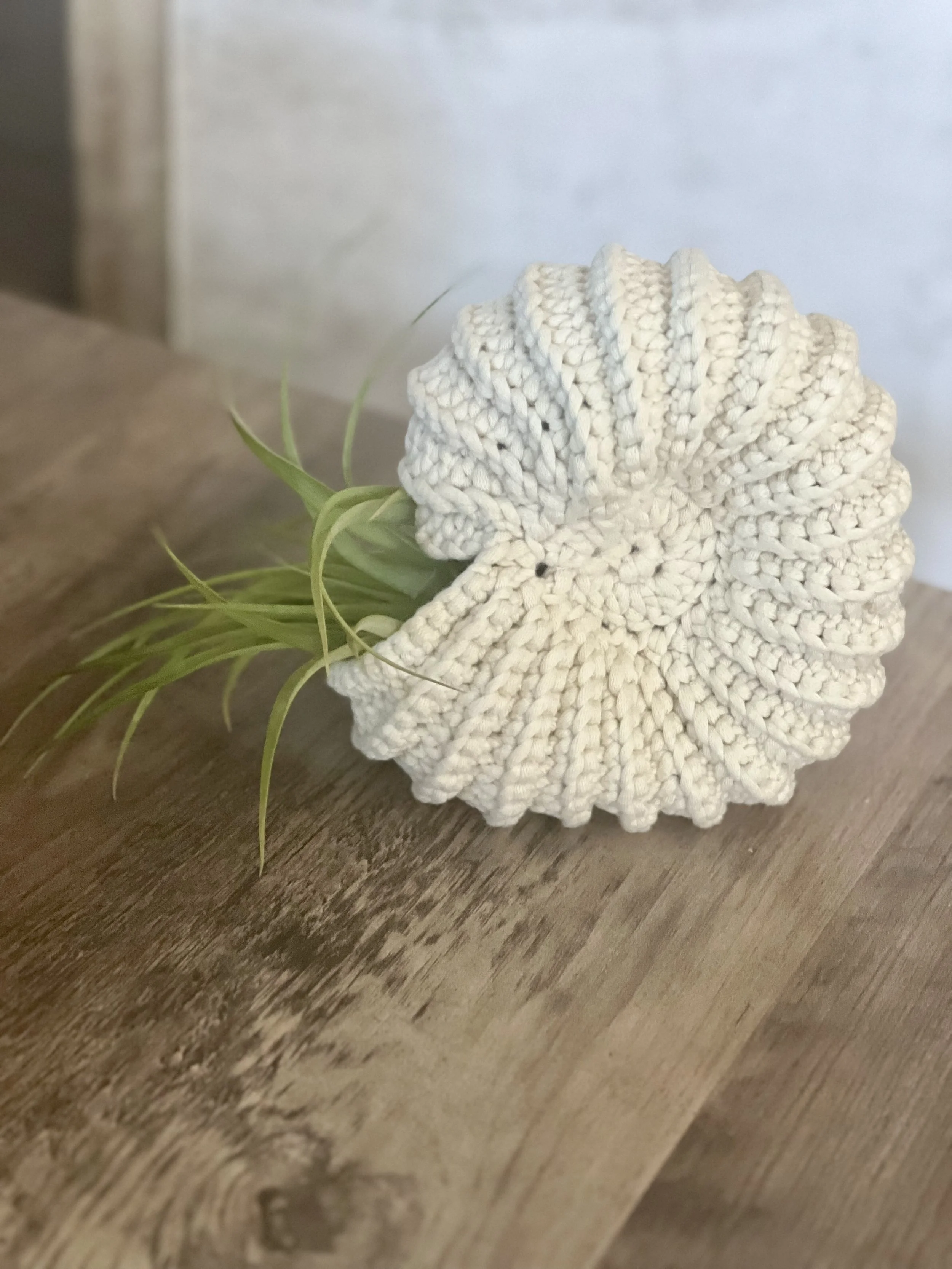crochet ammonite shell.jpg