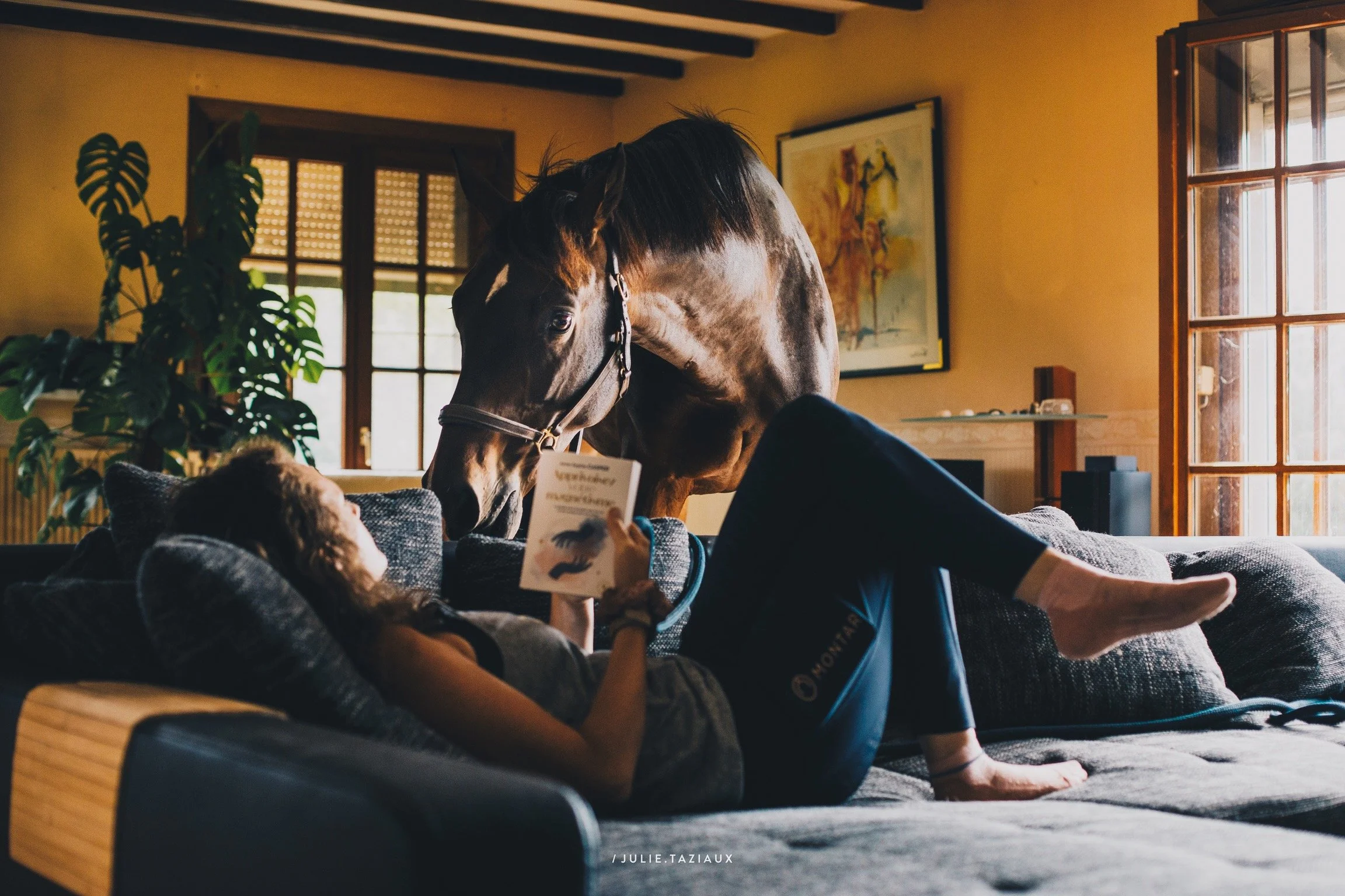 Une femme allongée sur un canapé, lisant un livre, avec un cheval qui penche sa tête vers elle dans une pièce lumineuse avec fenêtres en bois et une plante verte.