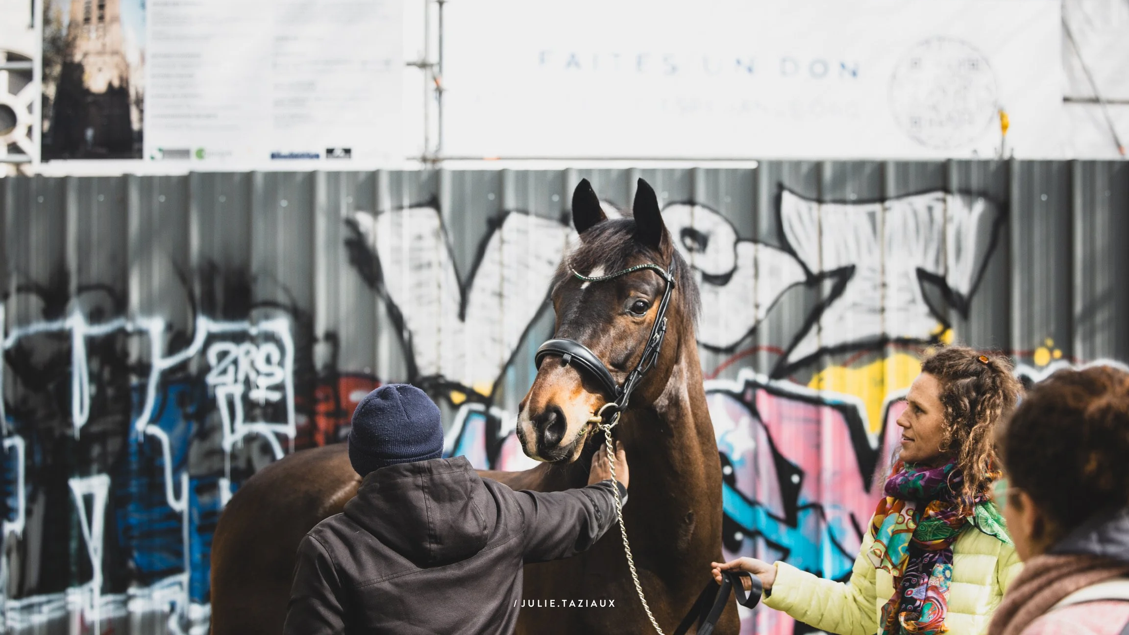 Un cheval marron est caressé par deux personnes devant un mur de graffitis colorés.