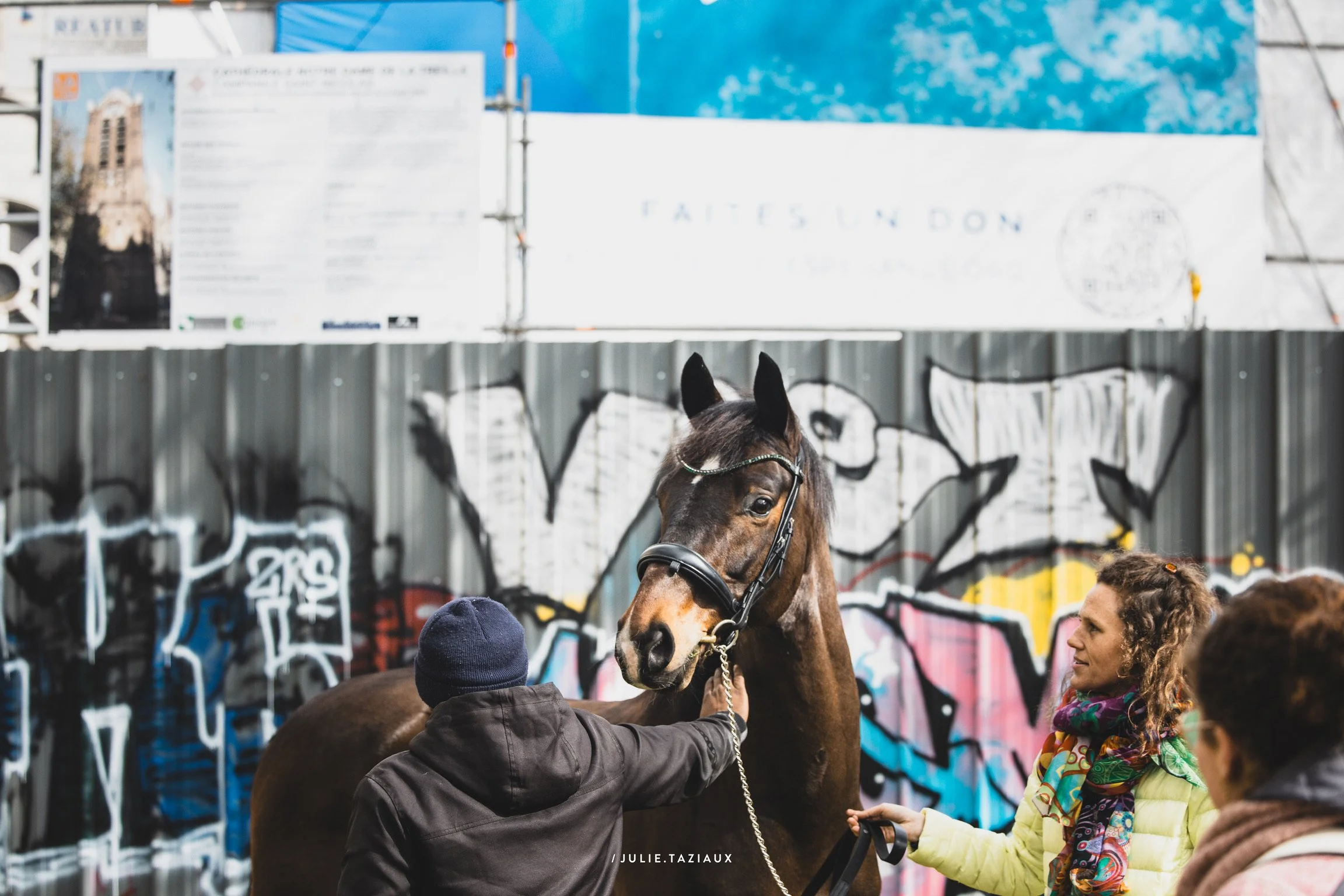 Une femme et un homme avec un cheval en ville, graffiti en arrière-plan.