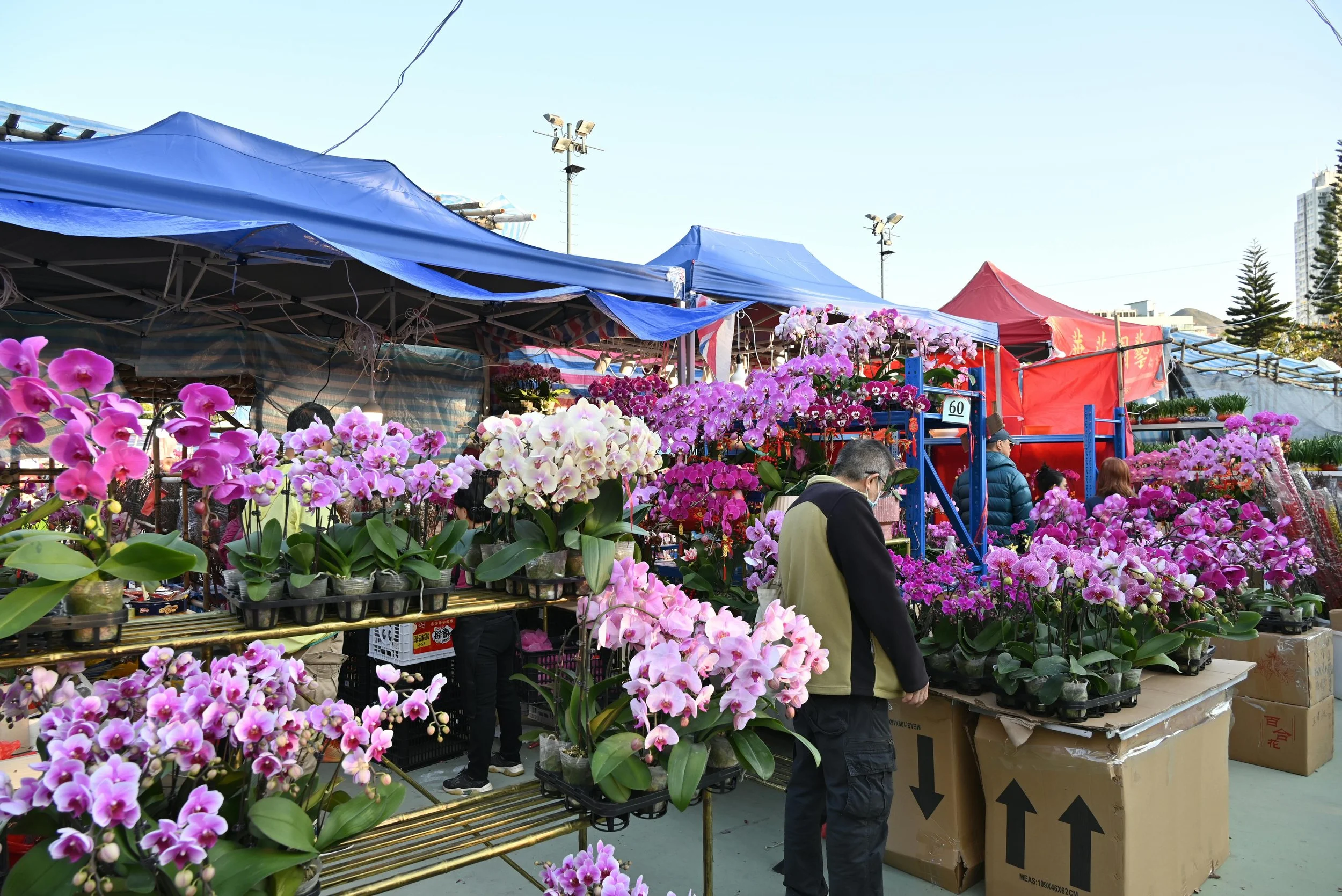 Grounded Exchange x Common Ground Plant Market