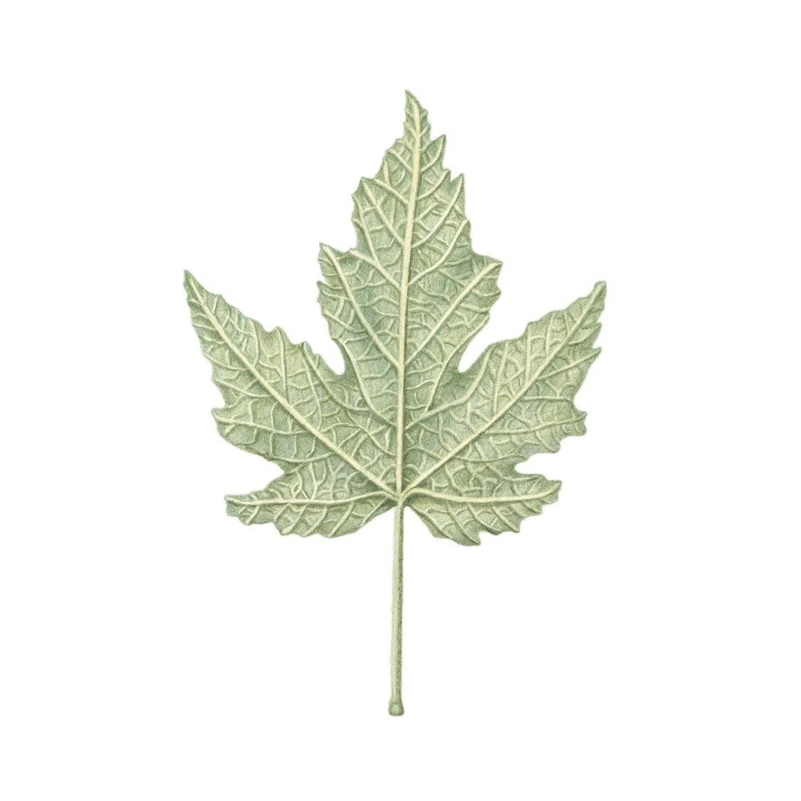 Interconnected (Giclée Paper Print)