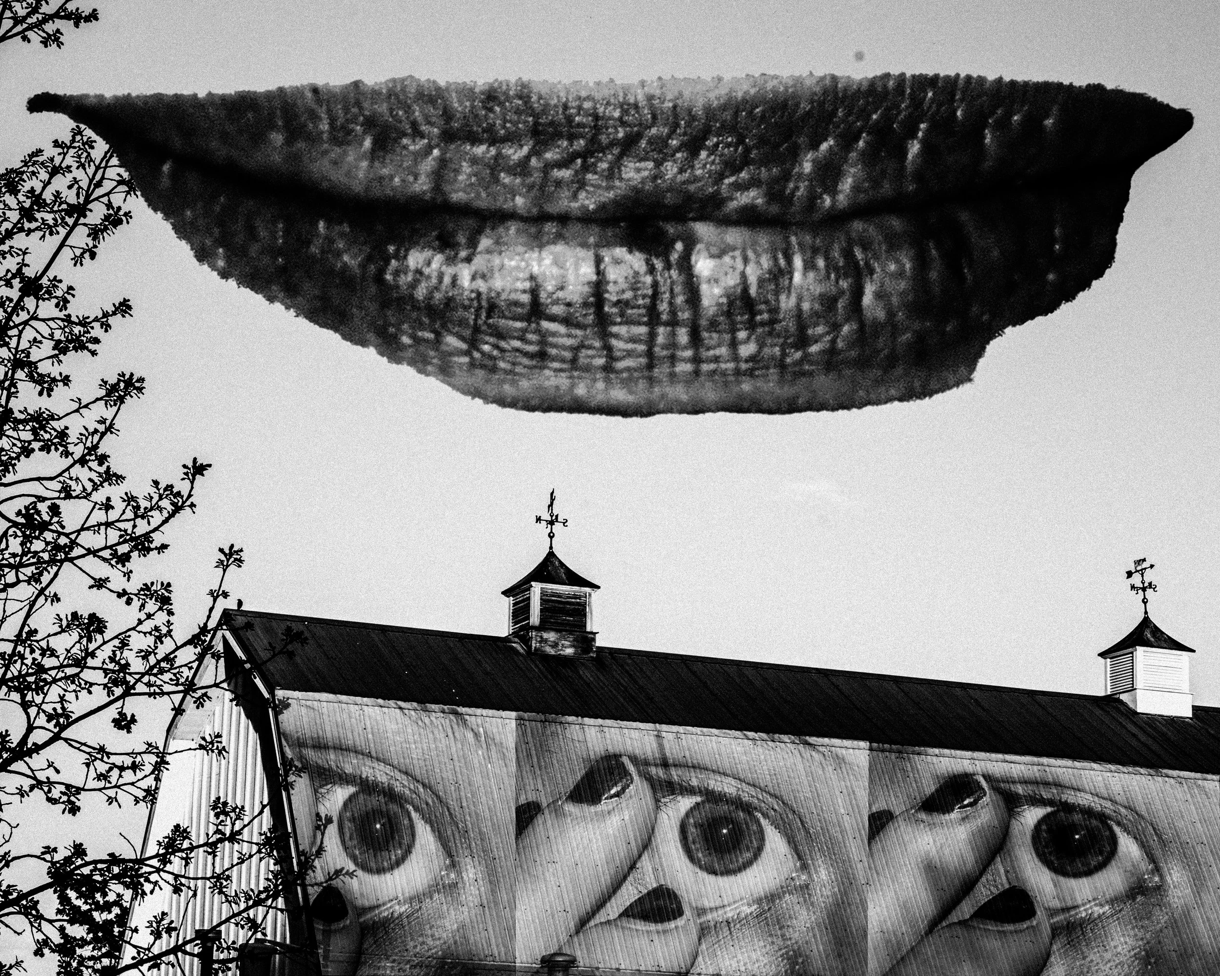 Portrait7 copy 2.jpg