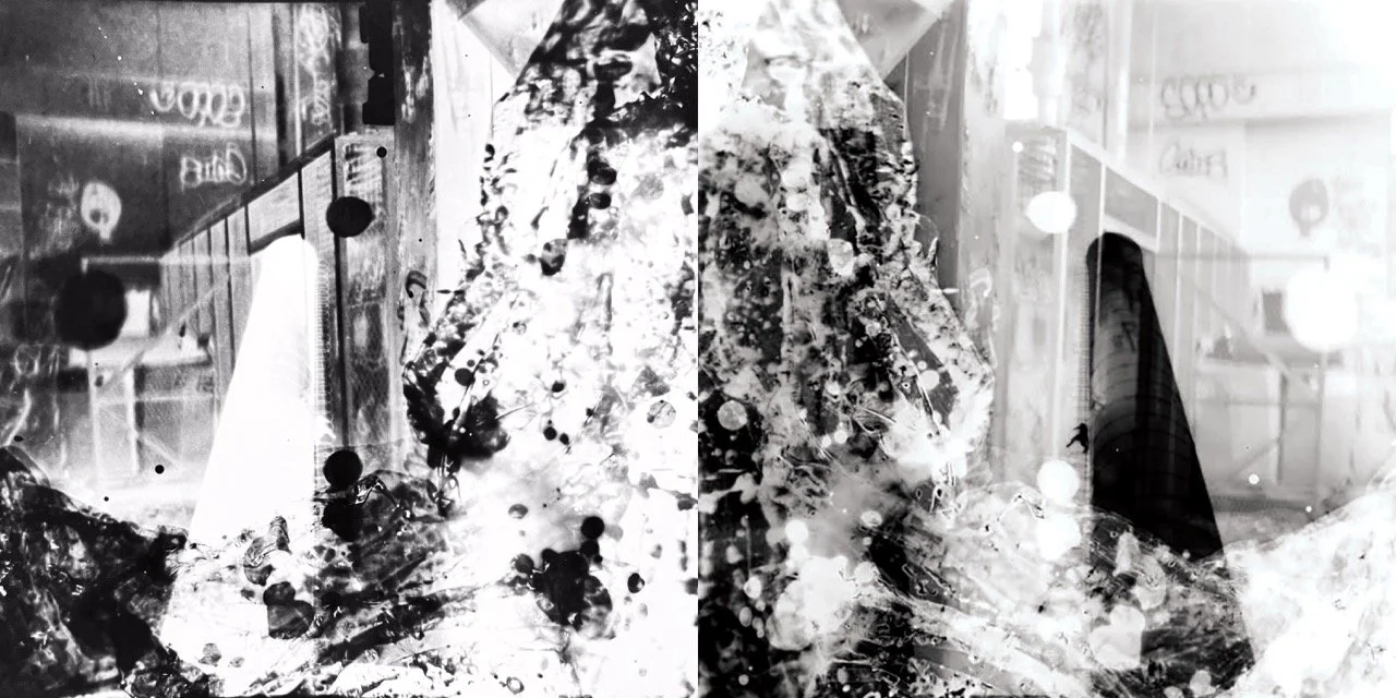 Diptych1 Large copy.jpeg