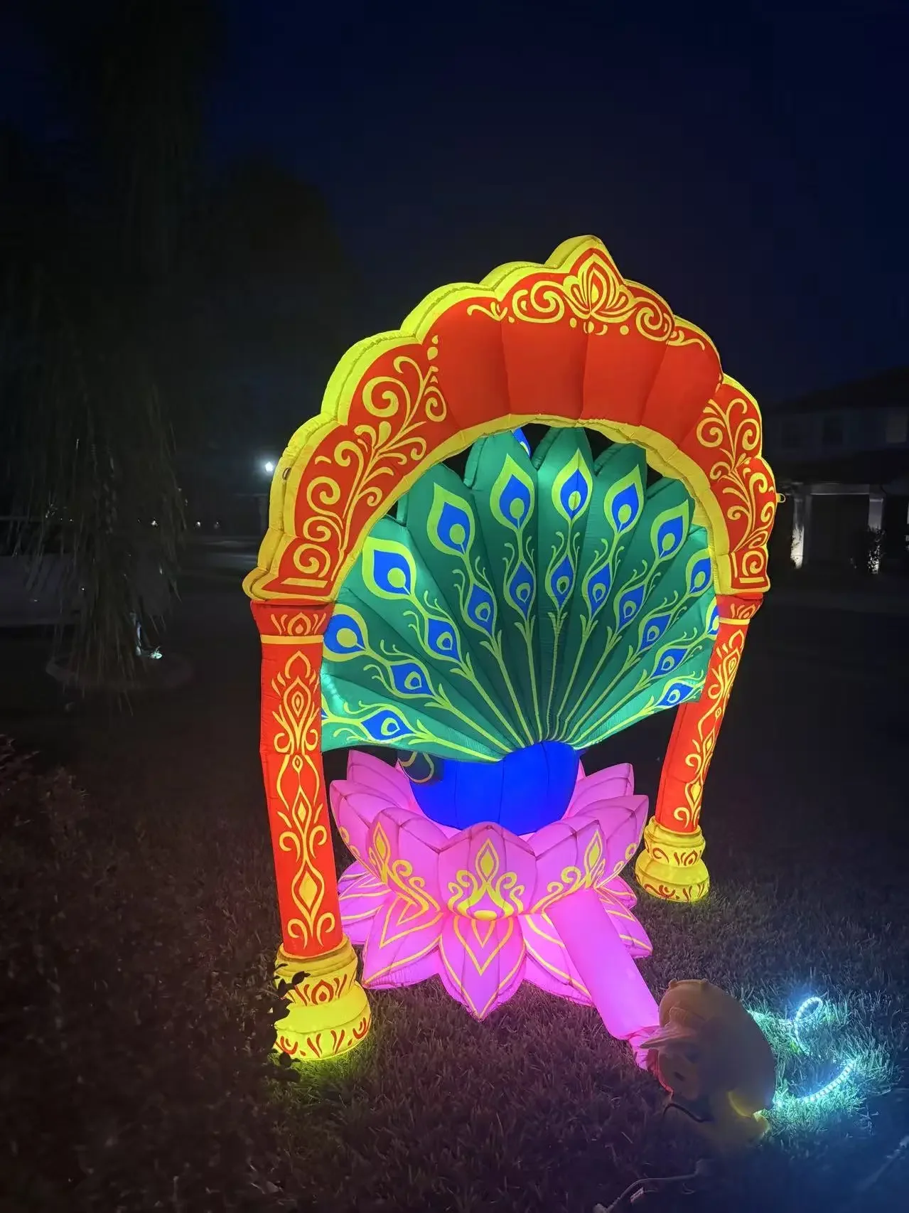 night Diwali peacock back.webp