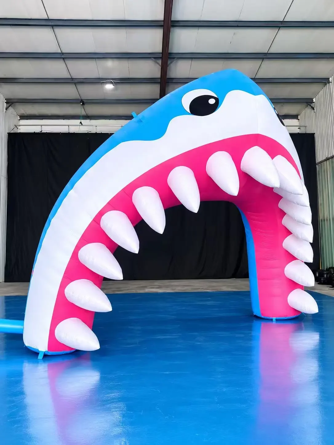 air arch shark reak.webp