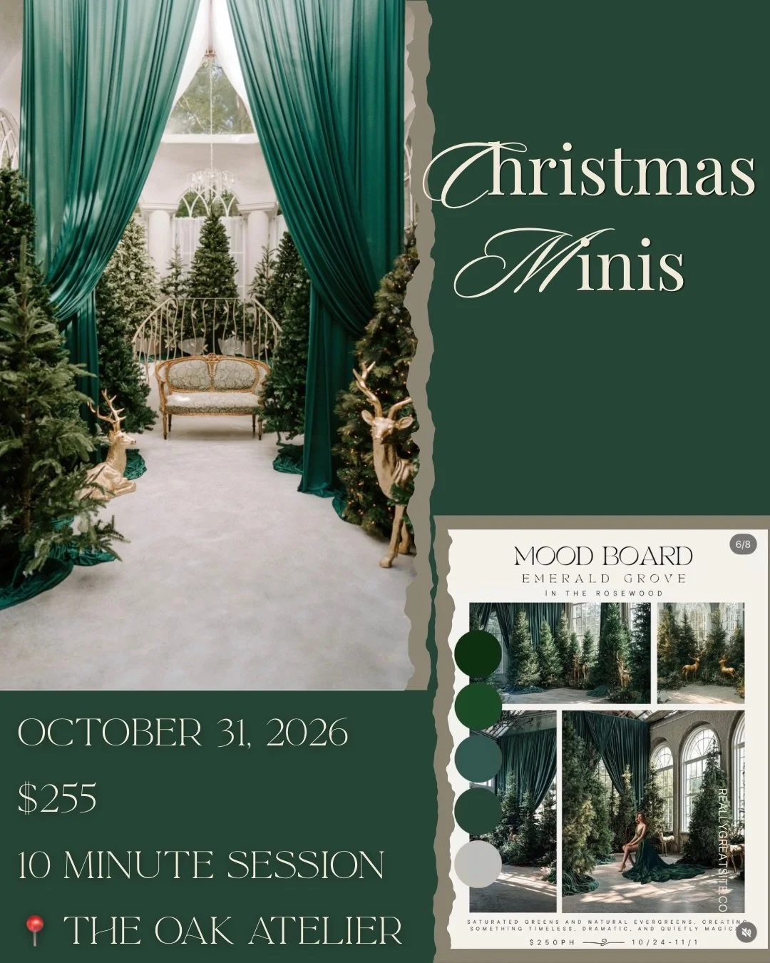 💚 Emerald Grove
📅 October 31
🕓 4:00 PM &ndash; 5:00 PM
💲$255
Each session includes:
&bull; 10 Minute Session
&bull; 10 Professionally Edited Images

🤎 Cinnamon Sugar
📅 October 17
🕛 12:00 PM &ndash; 1:00 PM
💲$225
✨ Only 1 spot available

Perfe