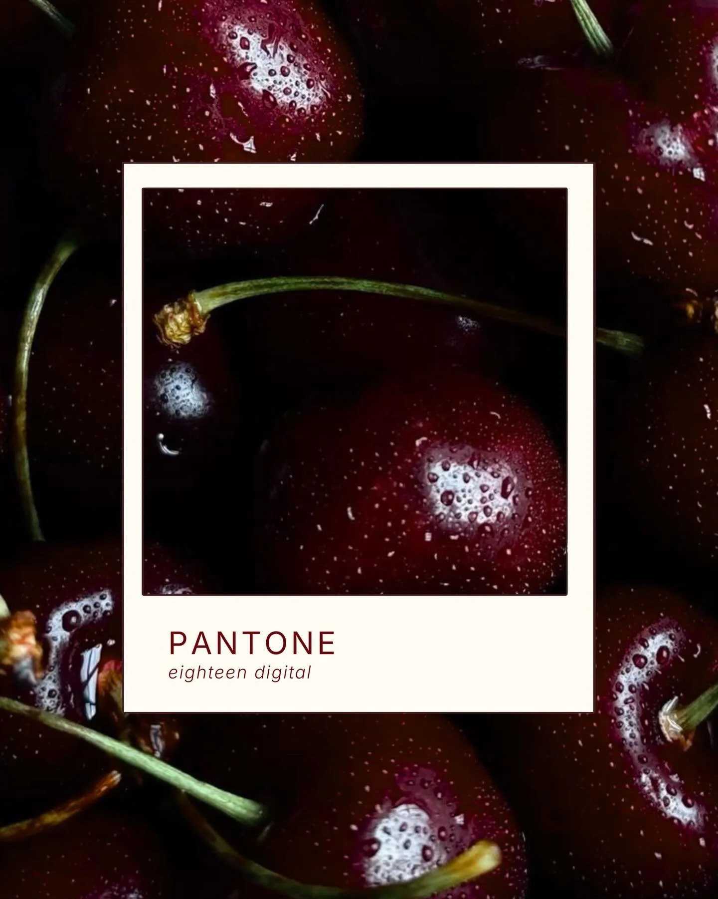 Colour, tone, spacing, it all plays a role in how your brand is perceived online.

We don&rsquo;t just create content. We build feeds that feel intentional and cohesive. #EighteenDigital