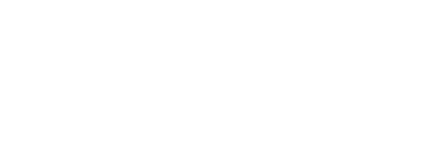 Premium Wellness Supplements