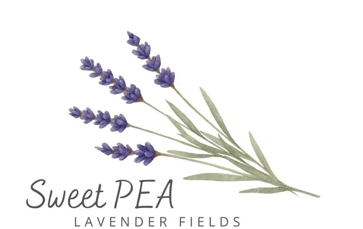 Sweet PEA Lavender Fields
