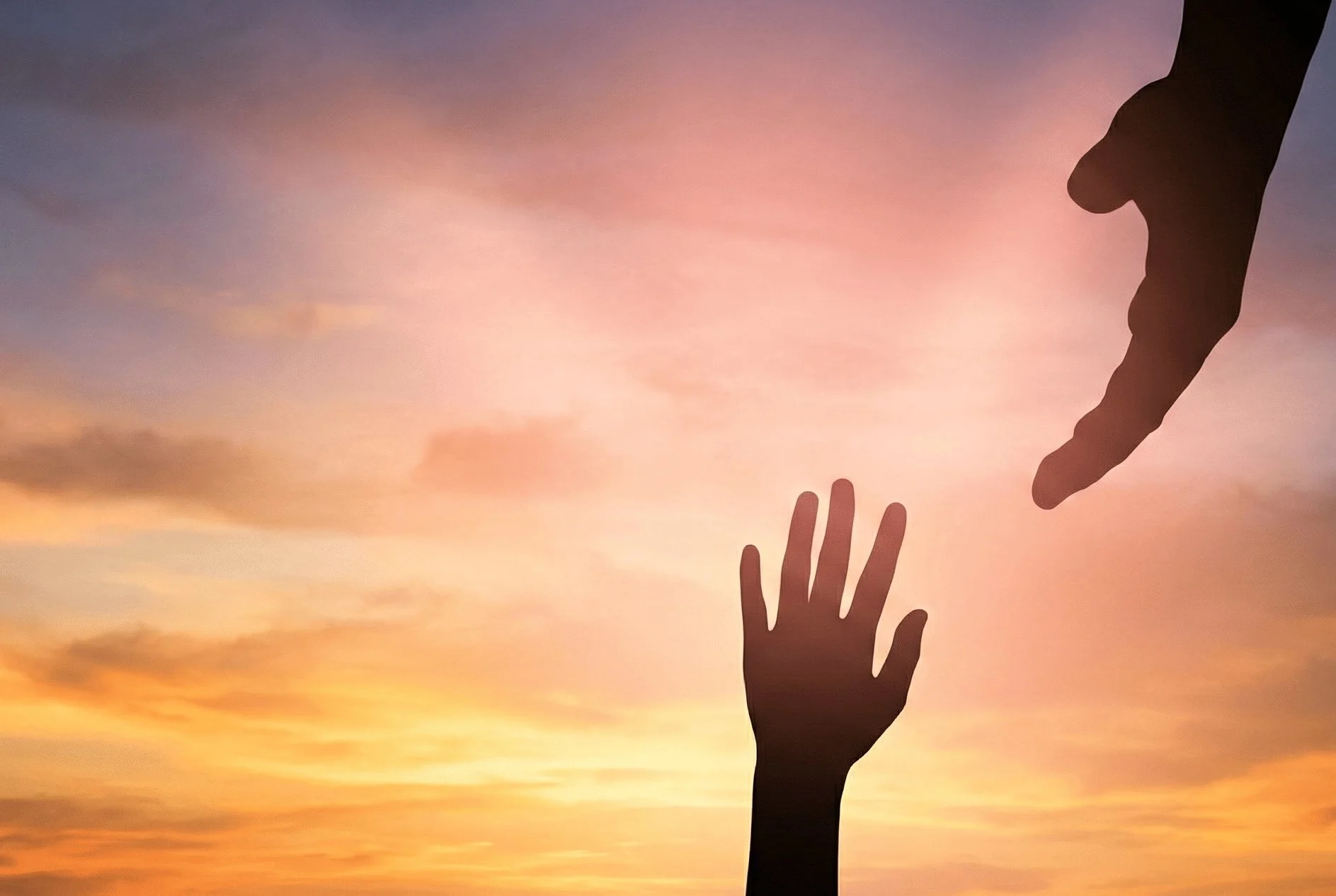 How to trust your perception, and stop overriding what you feel