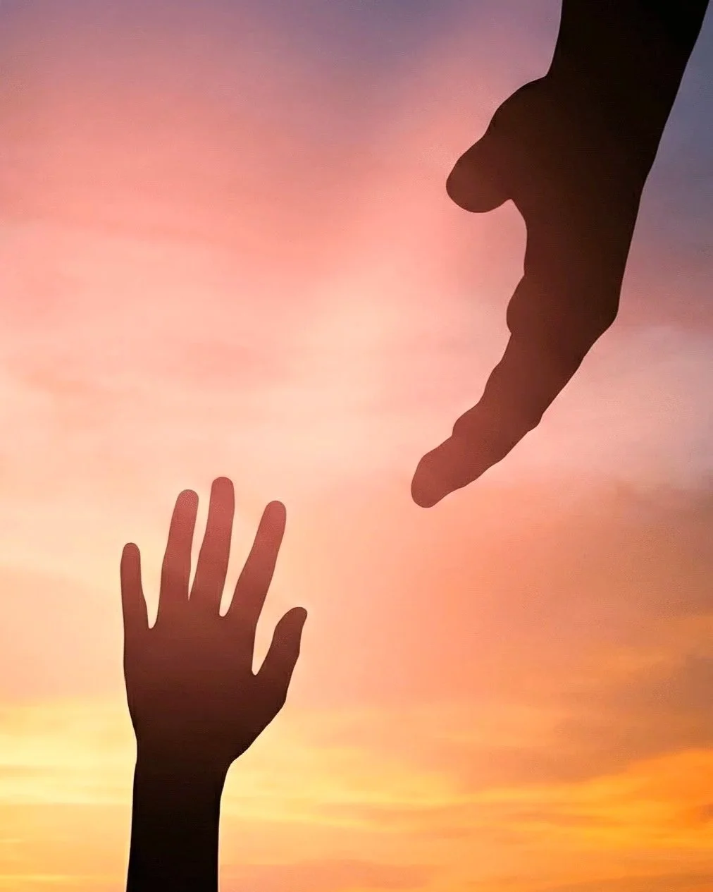 How to trust your perception, and stop overriding what you feel