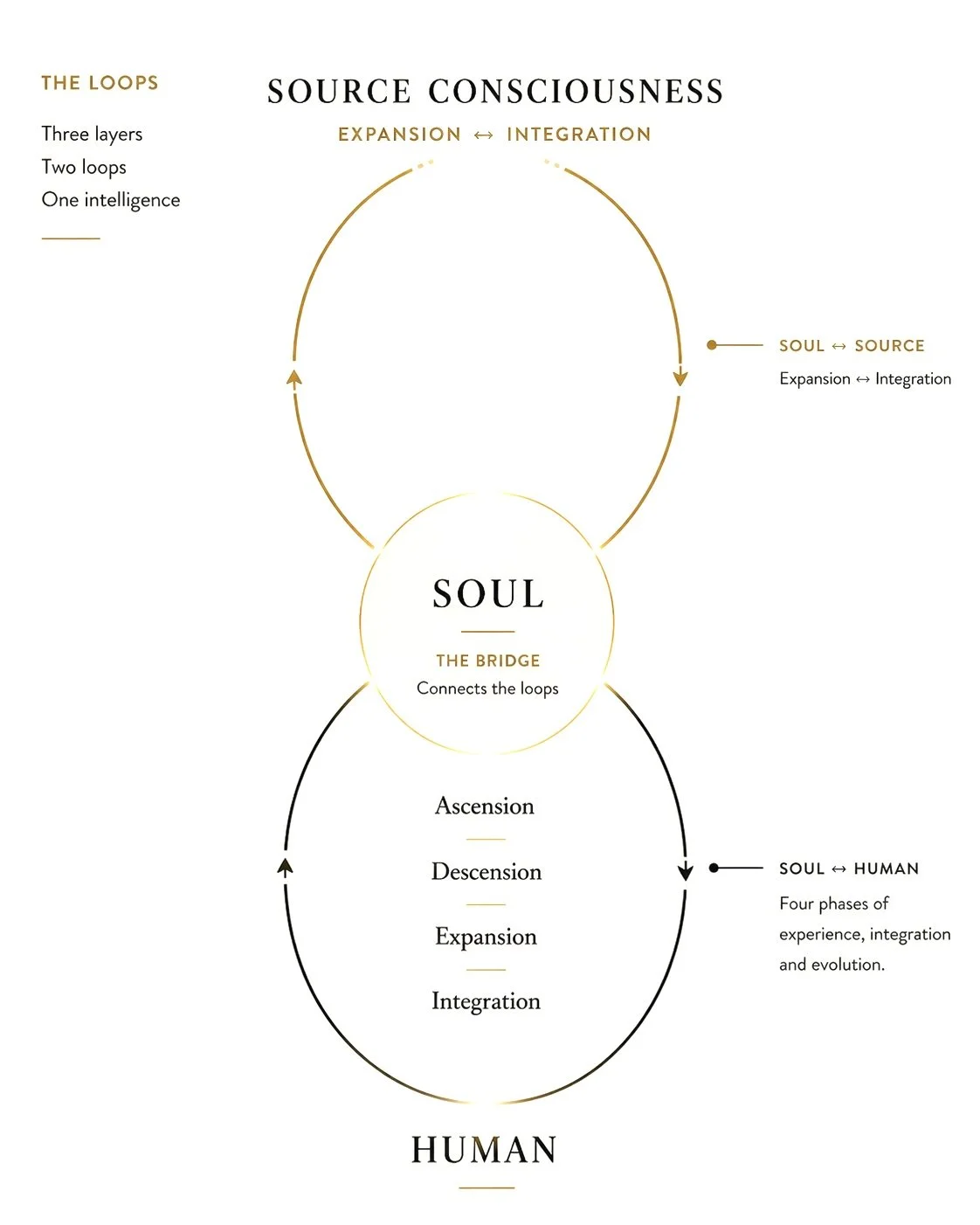 Diagram illustrating the relationship between source consciousness, soul, and human experiences, featuring interconnected loops and phases of ascension, descension, expansion, and integration.