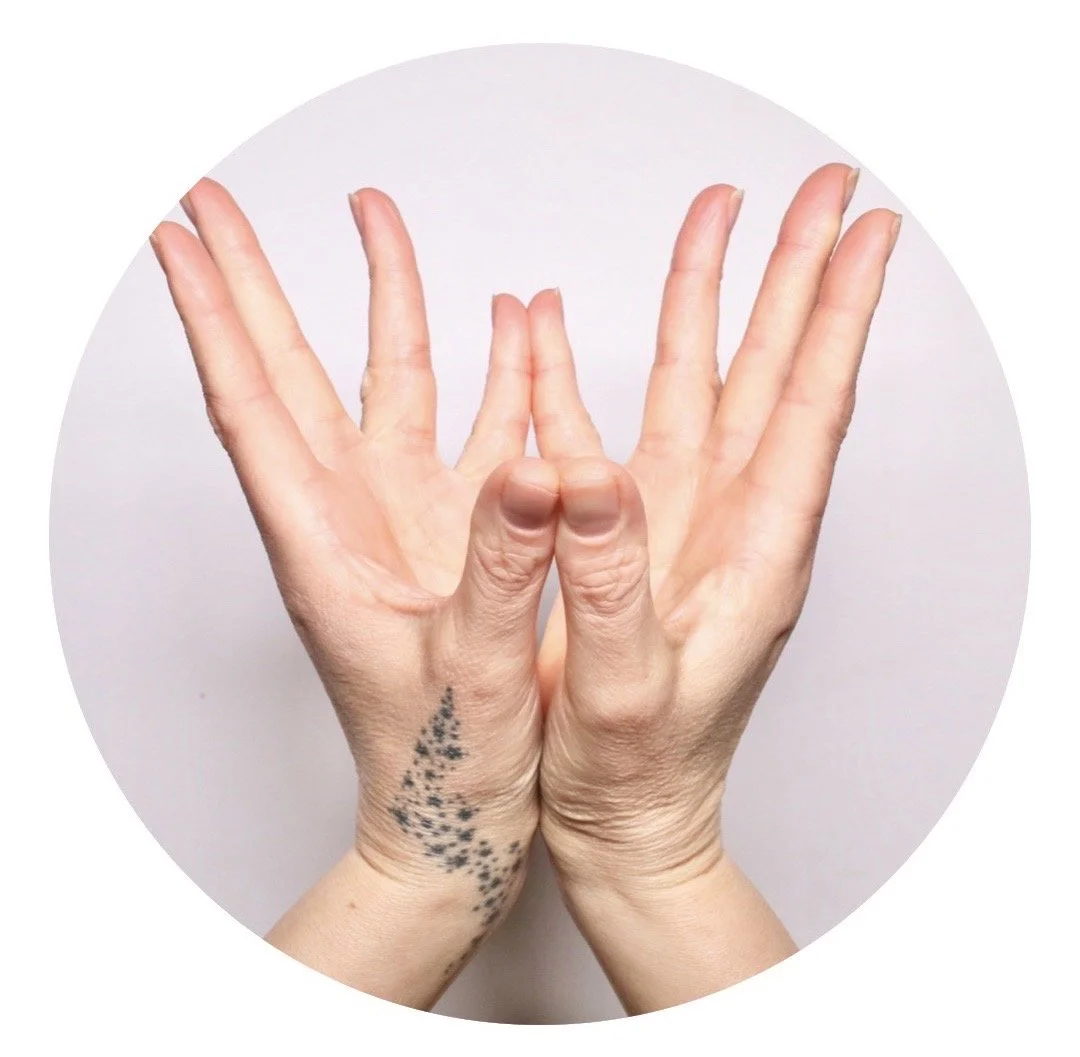 The Lotus mudra. Two hands making creating a lotus, with thumbs and pinky fingers touching, the other fingers open against a light background. This is the mudra for heart opening.