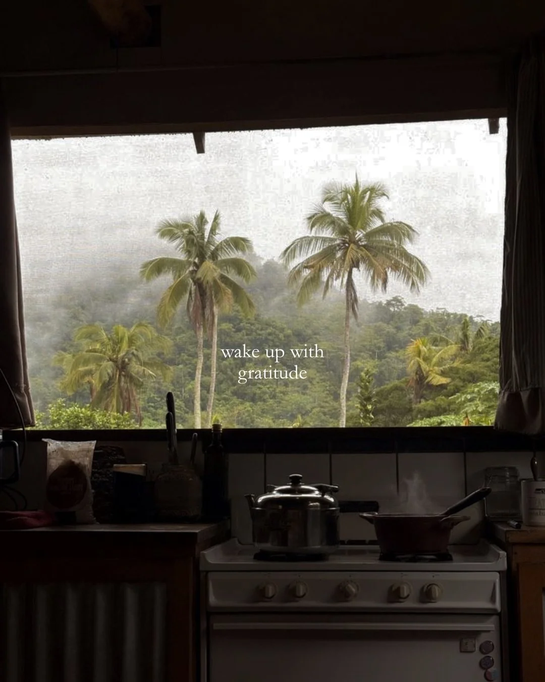 our kind of morning routine 🌅

no 10-step routine. no synthetic anything. just real life with nature.

live the natural way, link in bio 🌴🐄

#natural #ancestralskincare #tallow #nature #lowtoxliving