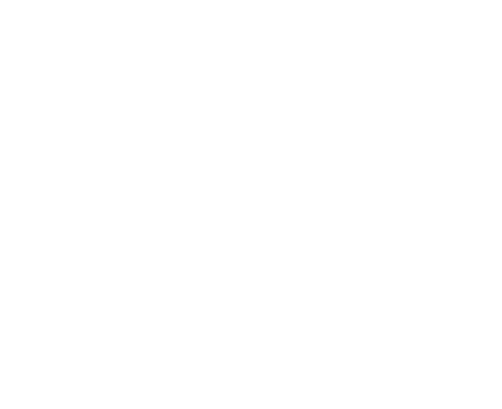 Side Kick Services
