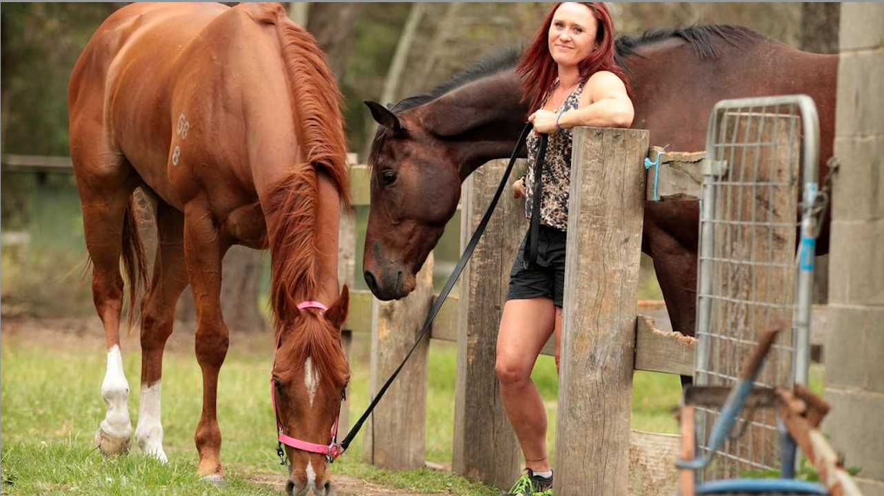 Melissa Harrison optimistic Mydream can rediscover winning form