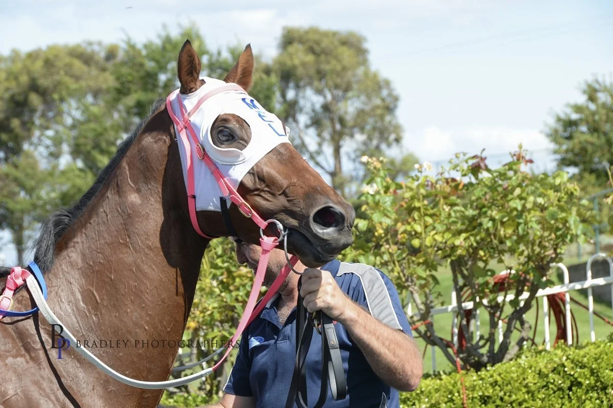 Melissa Harrison could have secret weapon in Ardlethan Cup
