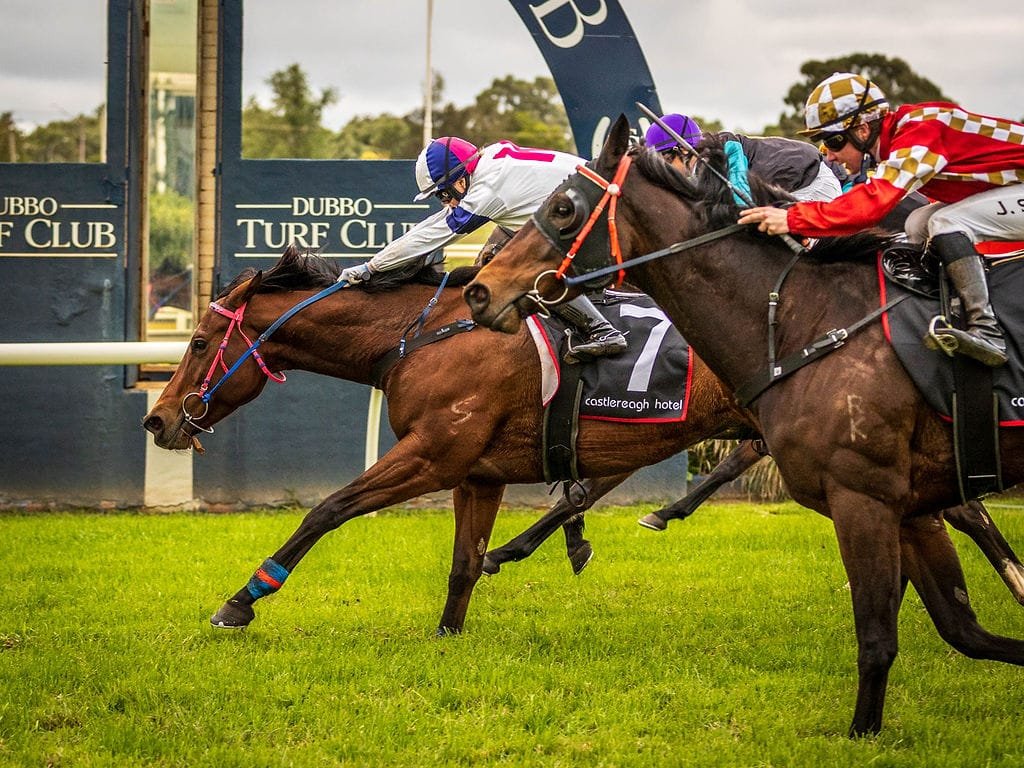 Warren and Dubbo wins lead into a busy weekend
