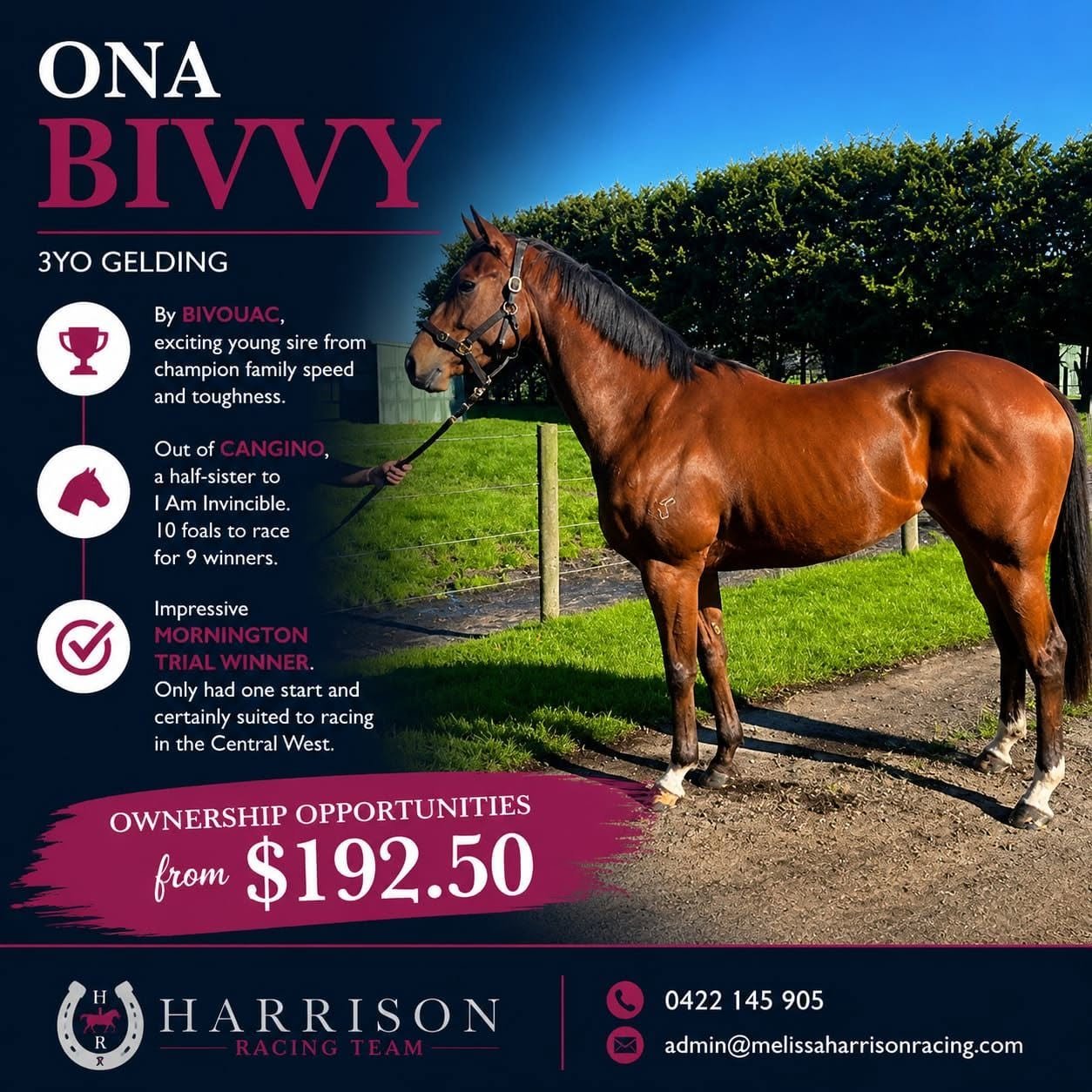 Ona Bivvy