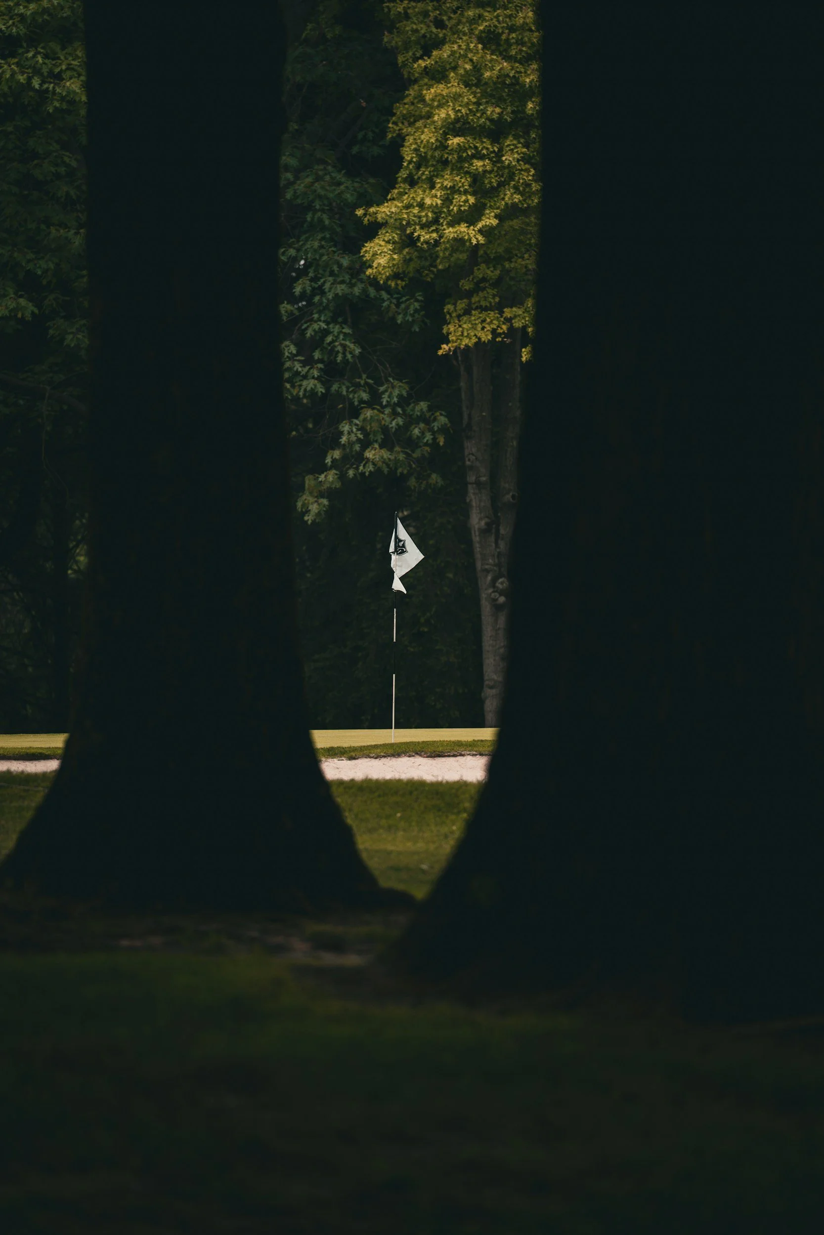 A view through a gap in trees showing a golf course with a green and a flagstick.