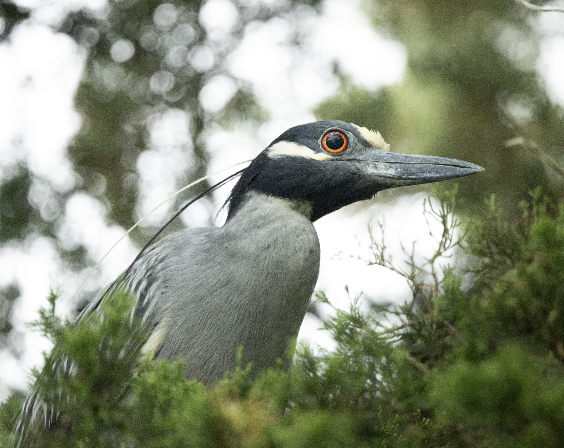 Screenshot 2025-12-10 at 3.04.35 PM.png