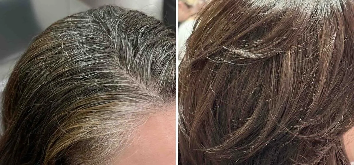 Gray Hair: The Whole Conversation