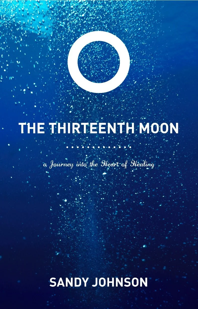 thethirteenthmooncover.jpg