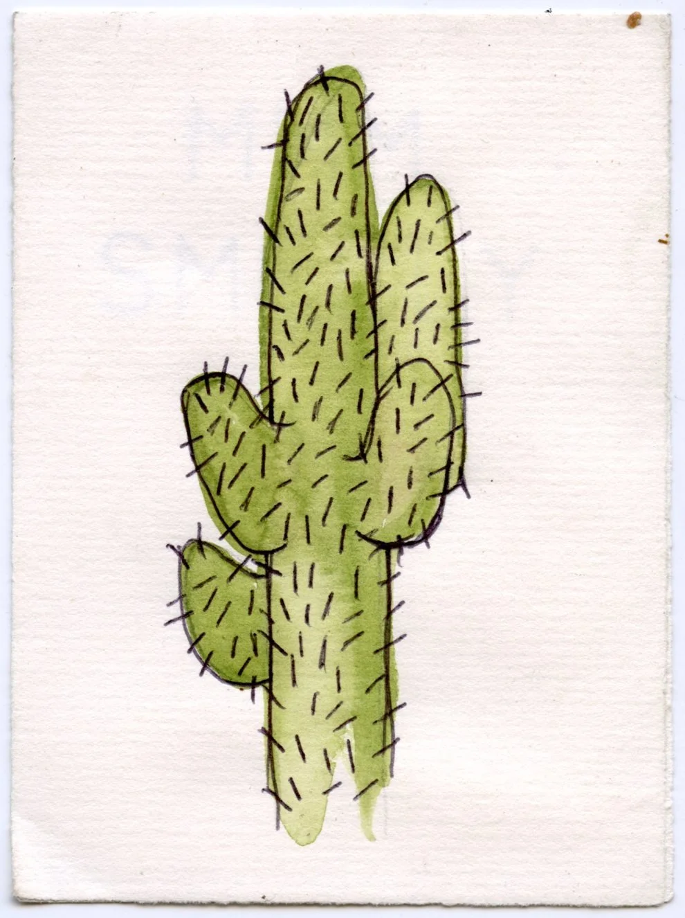 cactus2.jpg