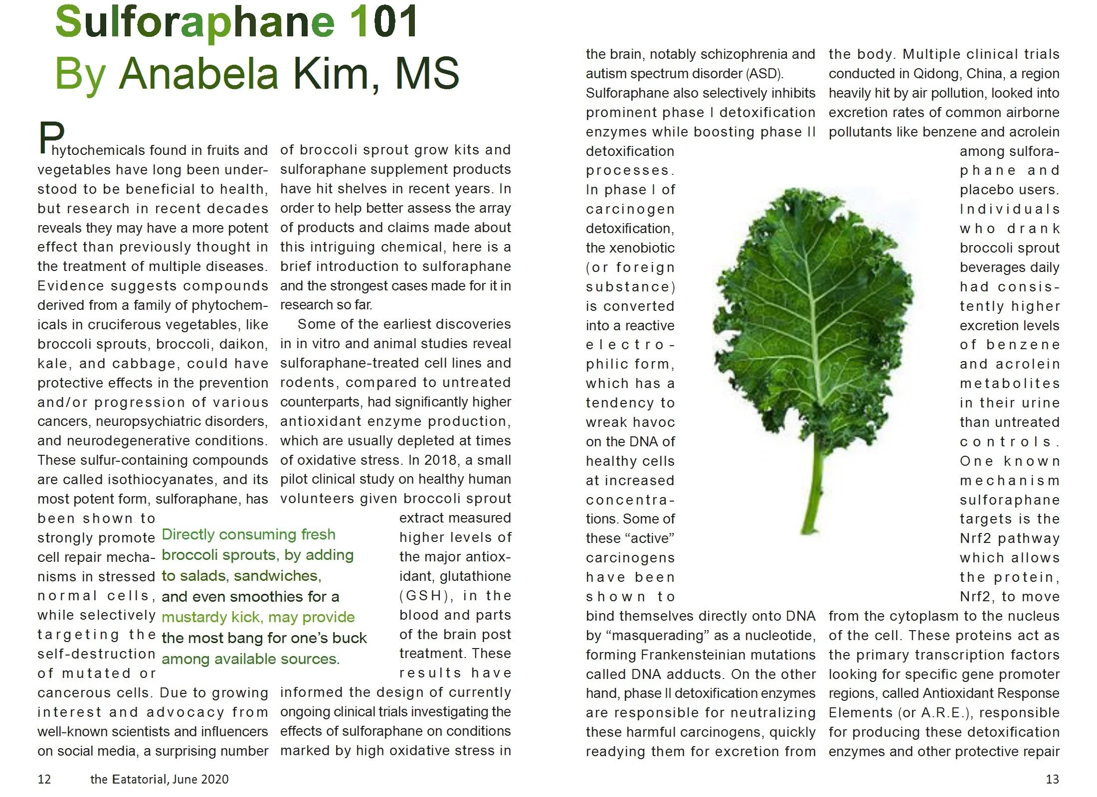 Eatatorial_06.2020 Extract[1,8-9] conv 2.jpeg