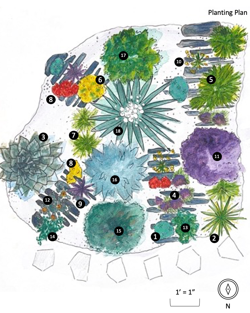 Crevice Garden