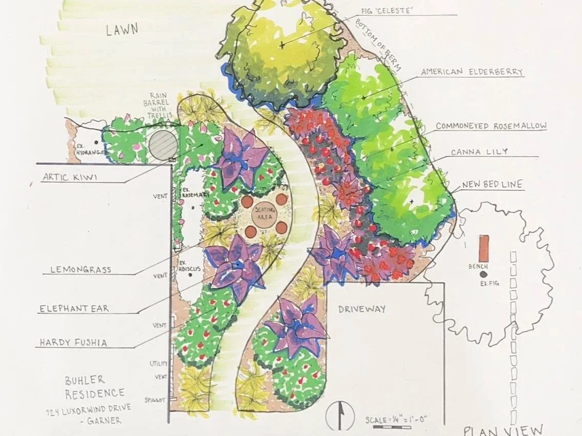 Fantastical Rain Garden