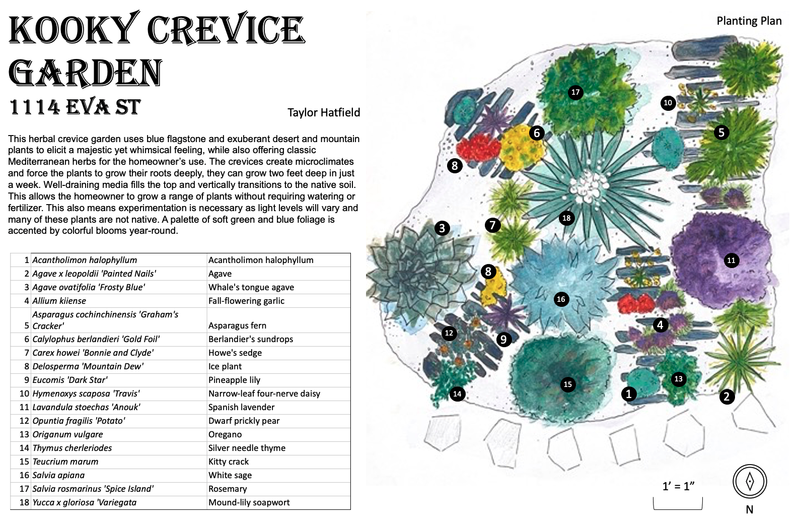 Crevice Plan.png